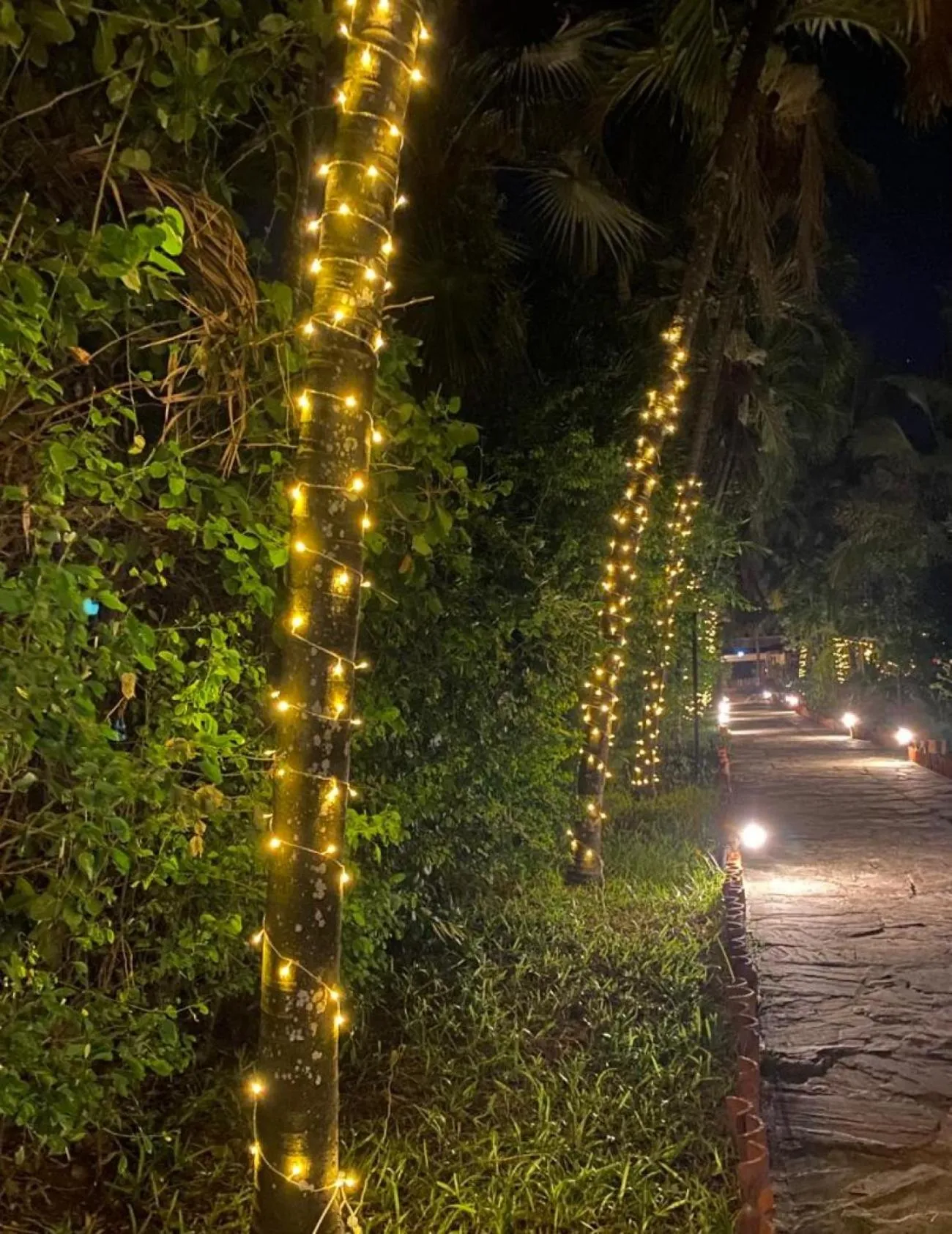 Property building in Indiana Beach Apartments