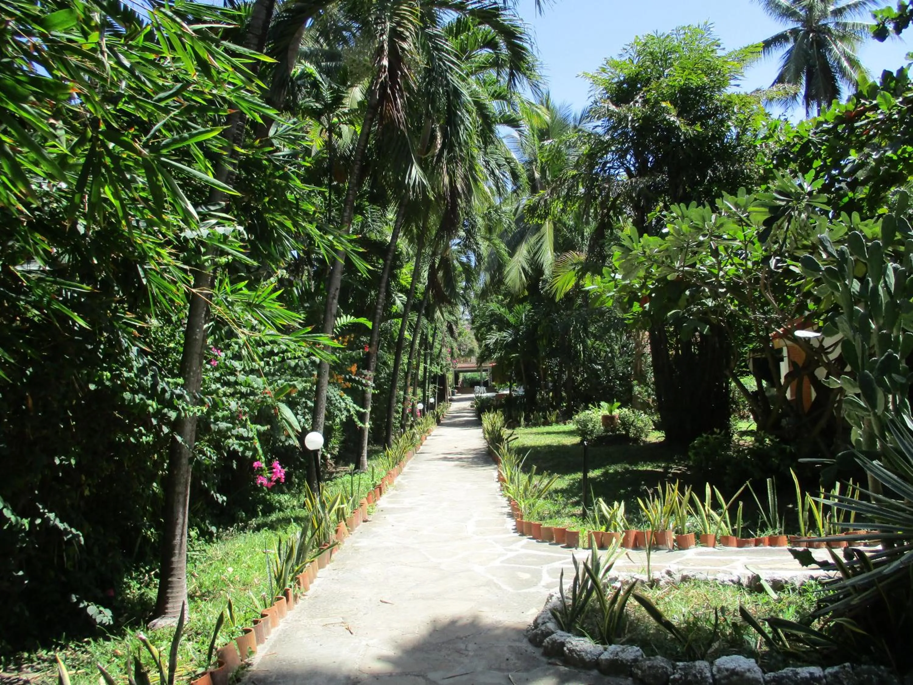 Day in Indiana Beach Apartments