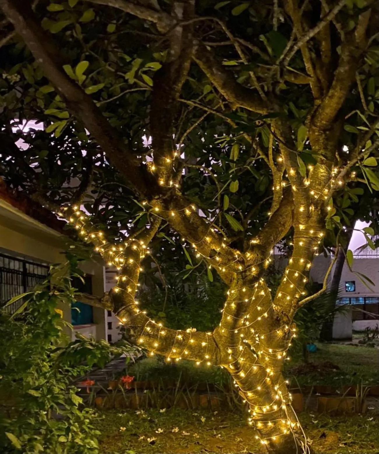 Property building in Indiana Beach Apartments