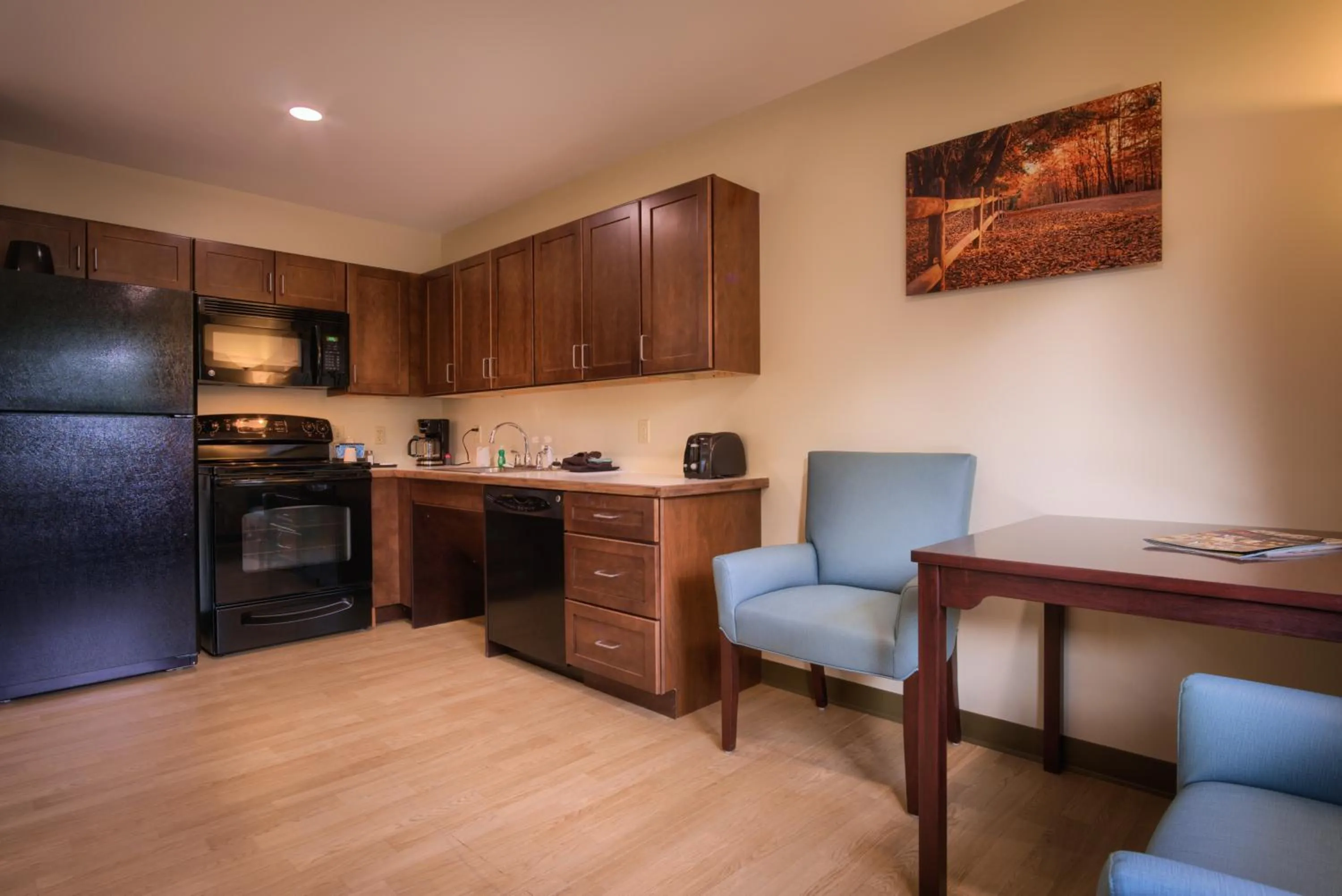 Kitchen or kitchenette in Sun & Ski Inn and Suites