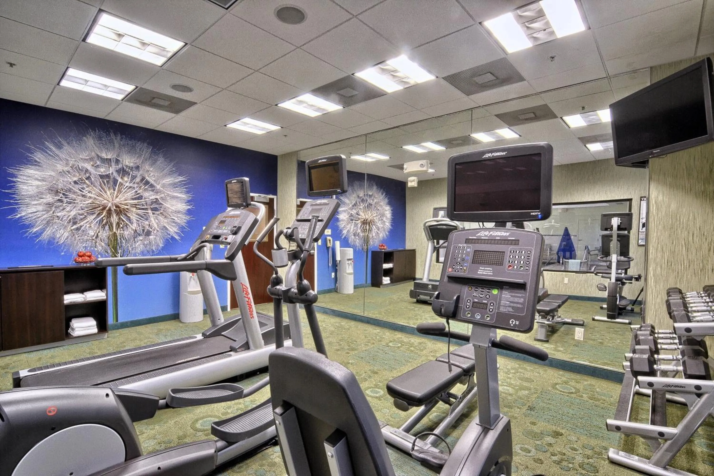 Fitness centre/facilities in SpringHill Suites Detroit Southfield
