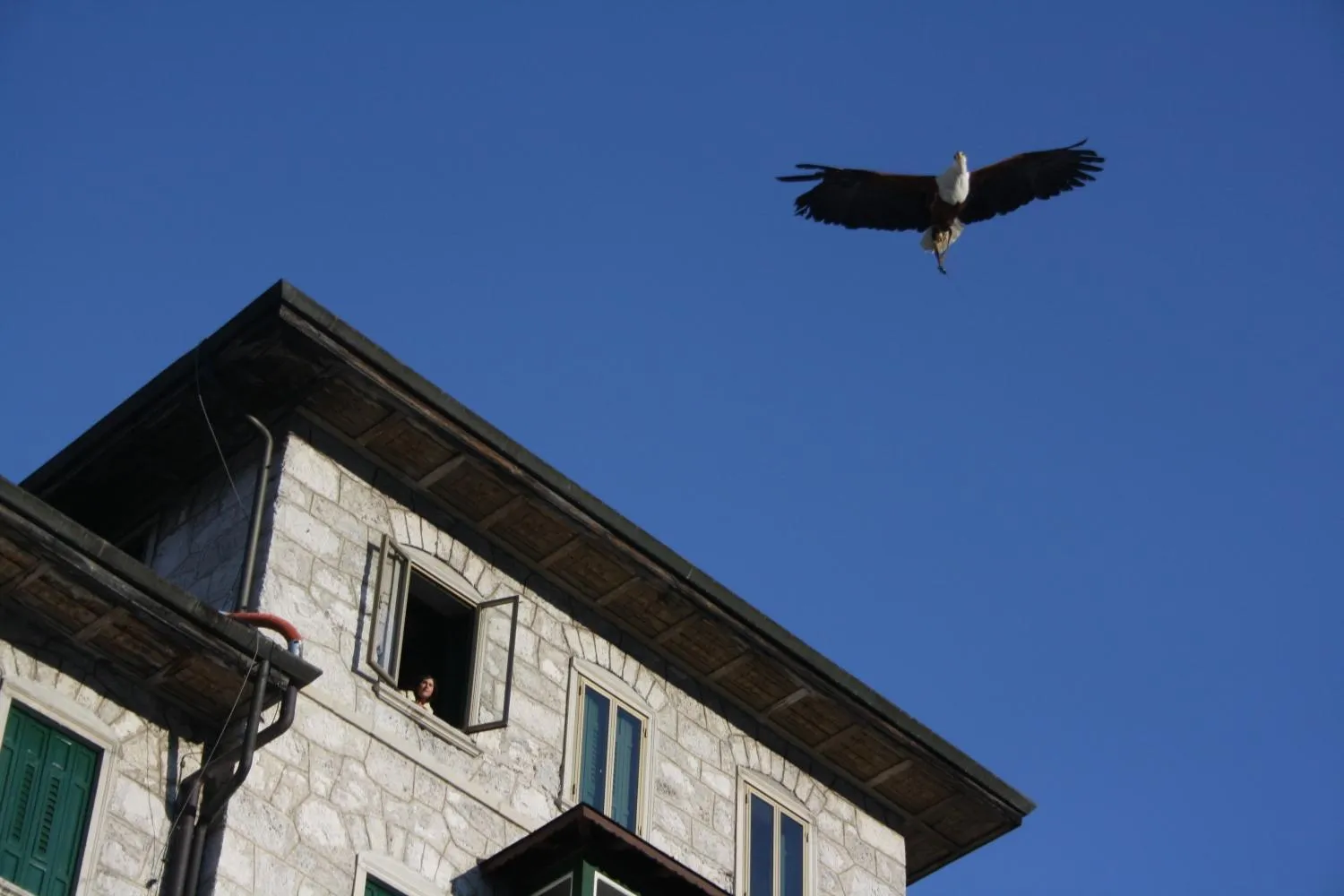 Other in TH Borca di Cadore - Park Hotel Des Dolomites