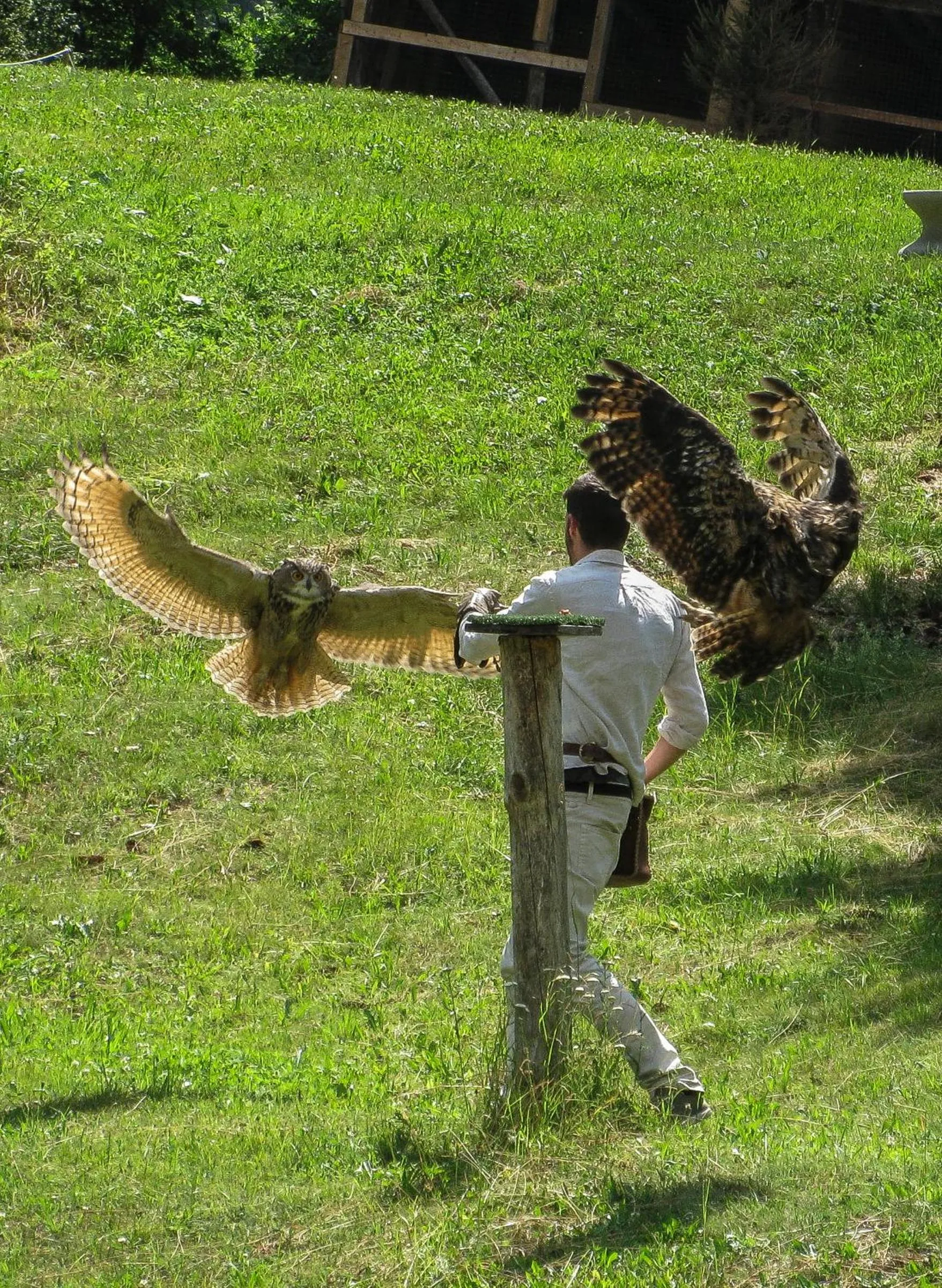 People in TH Borca di Cadore - Park Hotel Des Dolomites