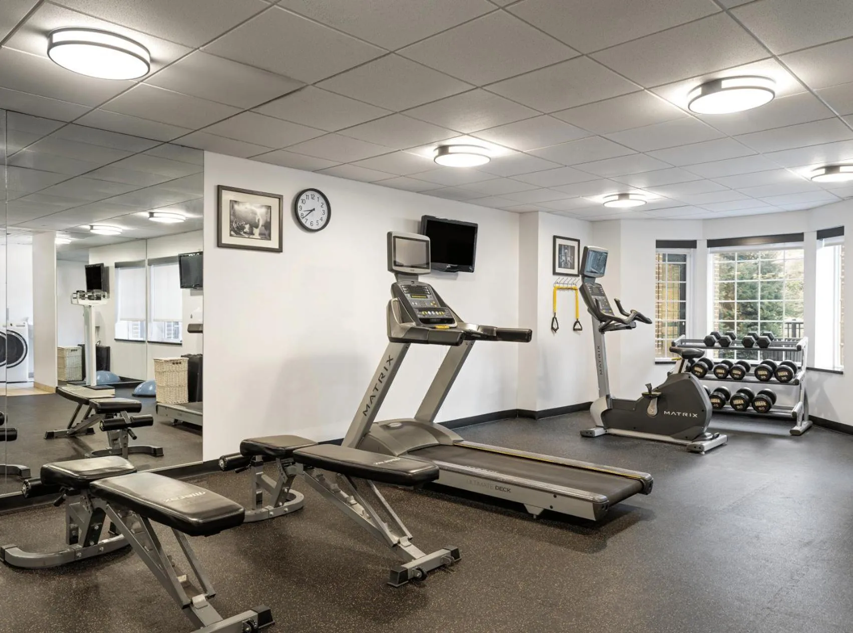 Fitness centre/facilities in Staybridge Suites Rochester University by IHG