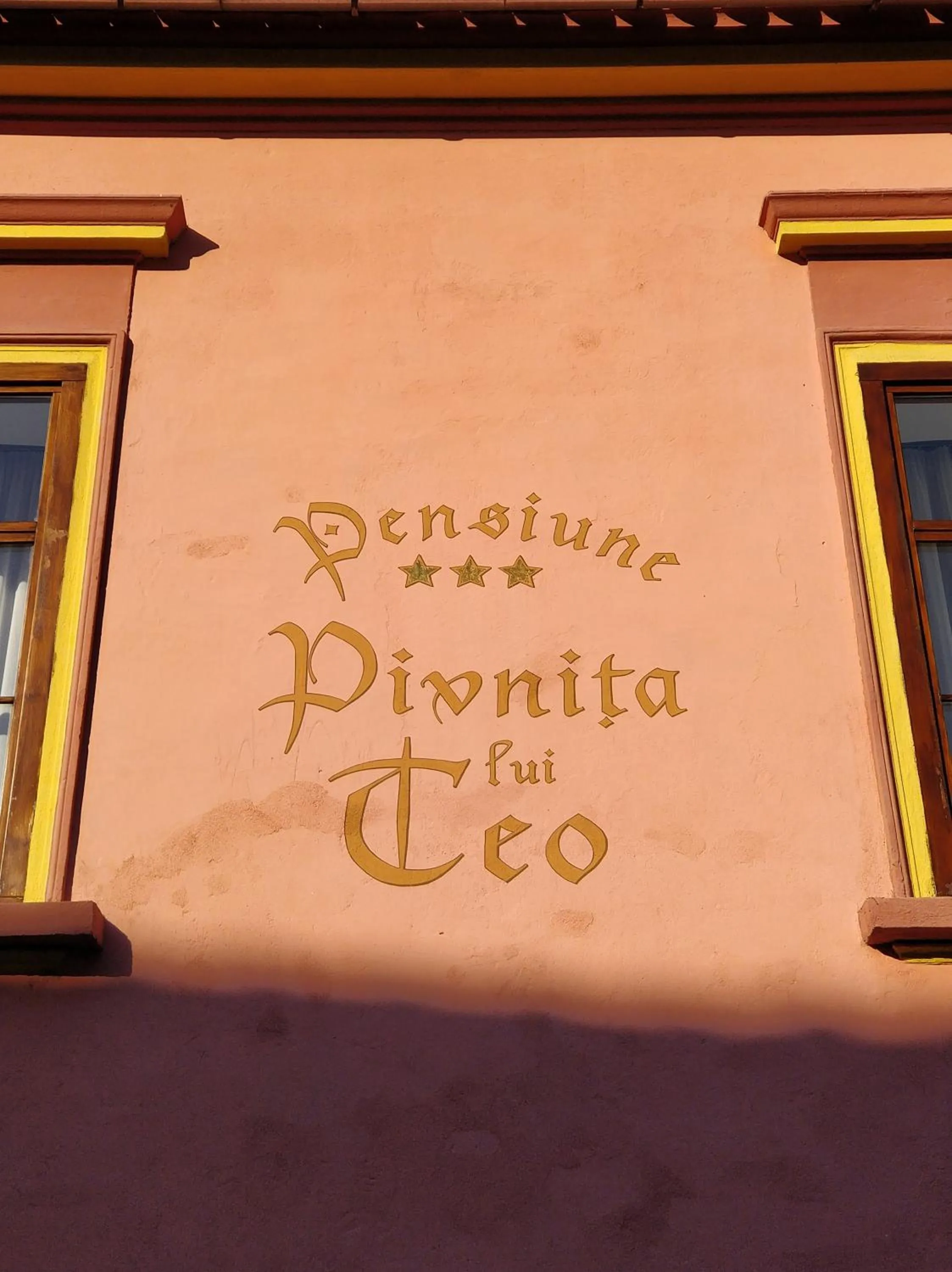 Facade/entrance in La Teo Pensiune si Pivnita