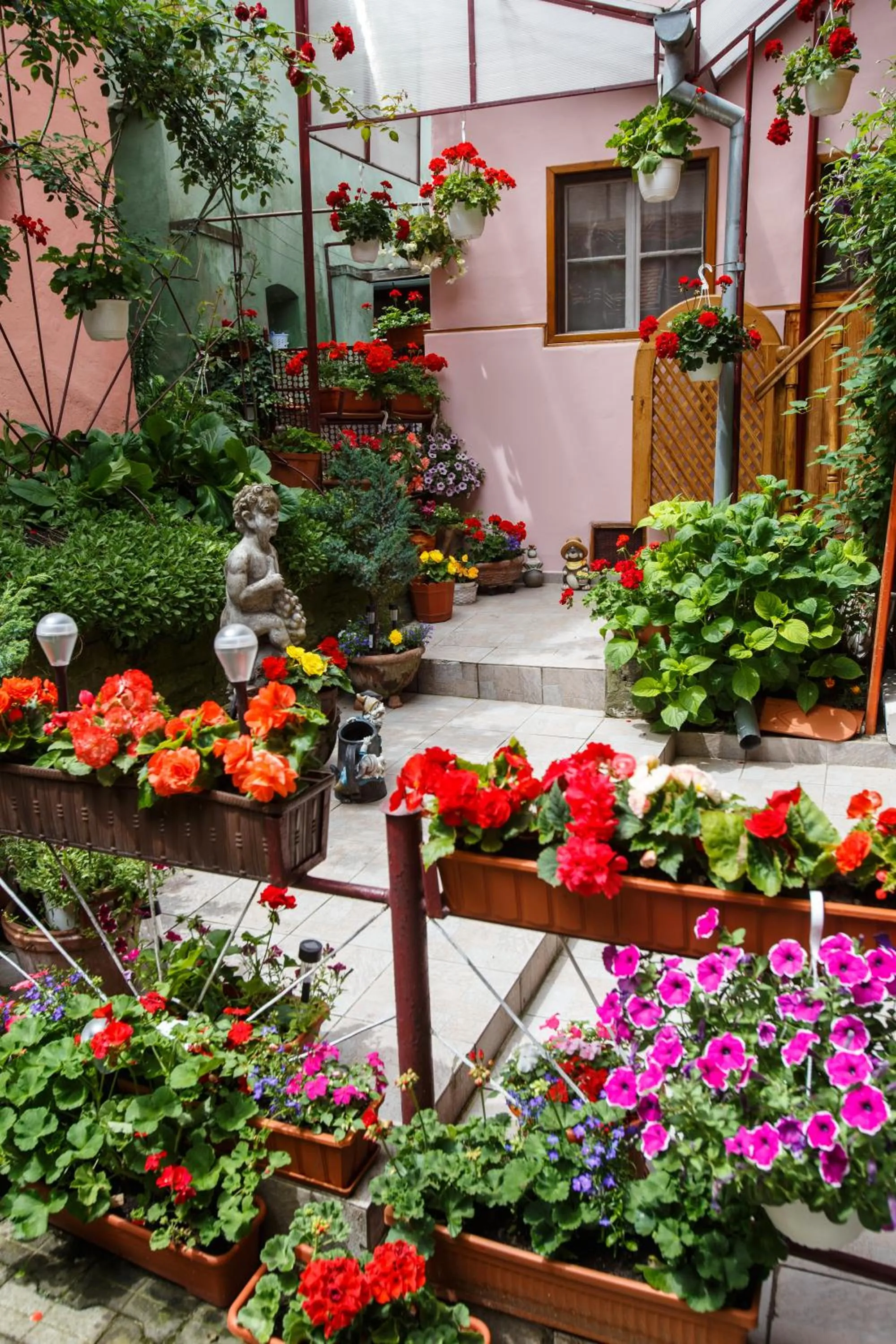 Day in La Teo Pensiune si Pivnita