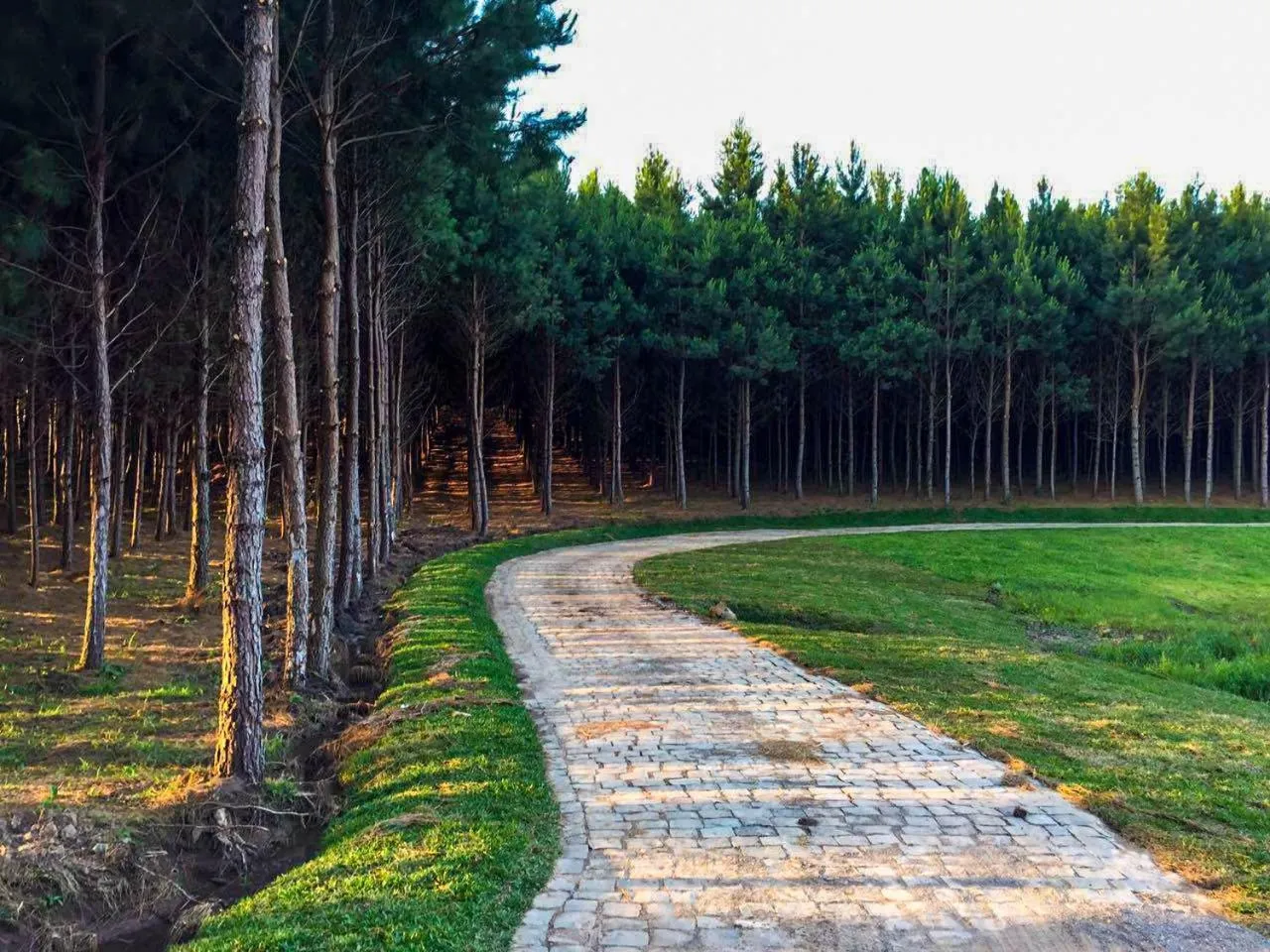 Natural landscape in Hotel Recanto Maestro