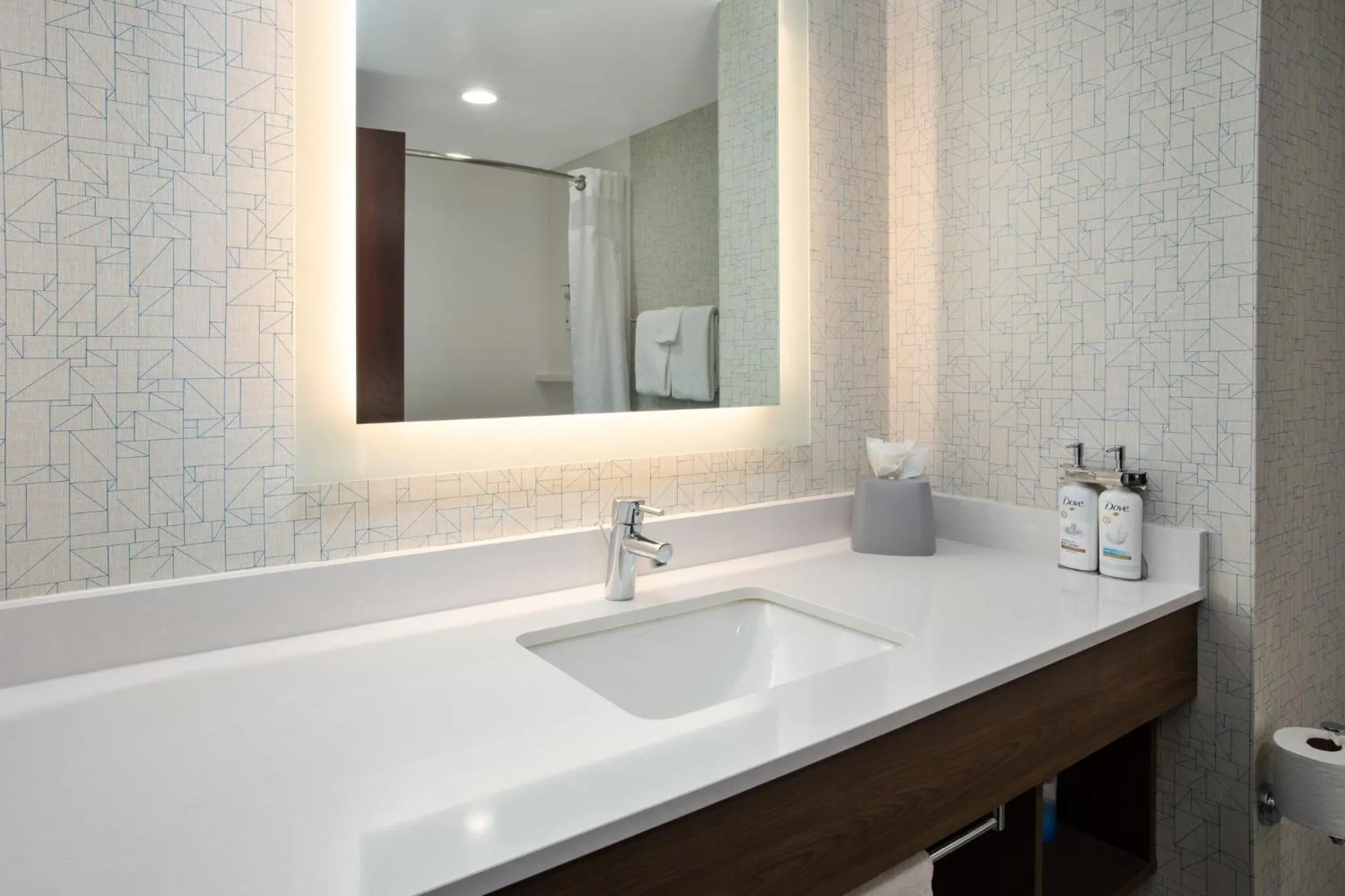 Bathroom in Holiday Inn Express Hotel & Suites Rochester Webster by IHG