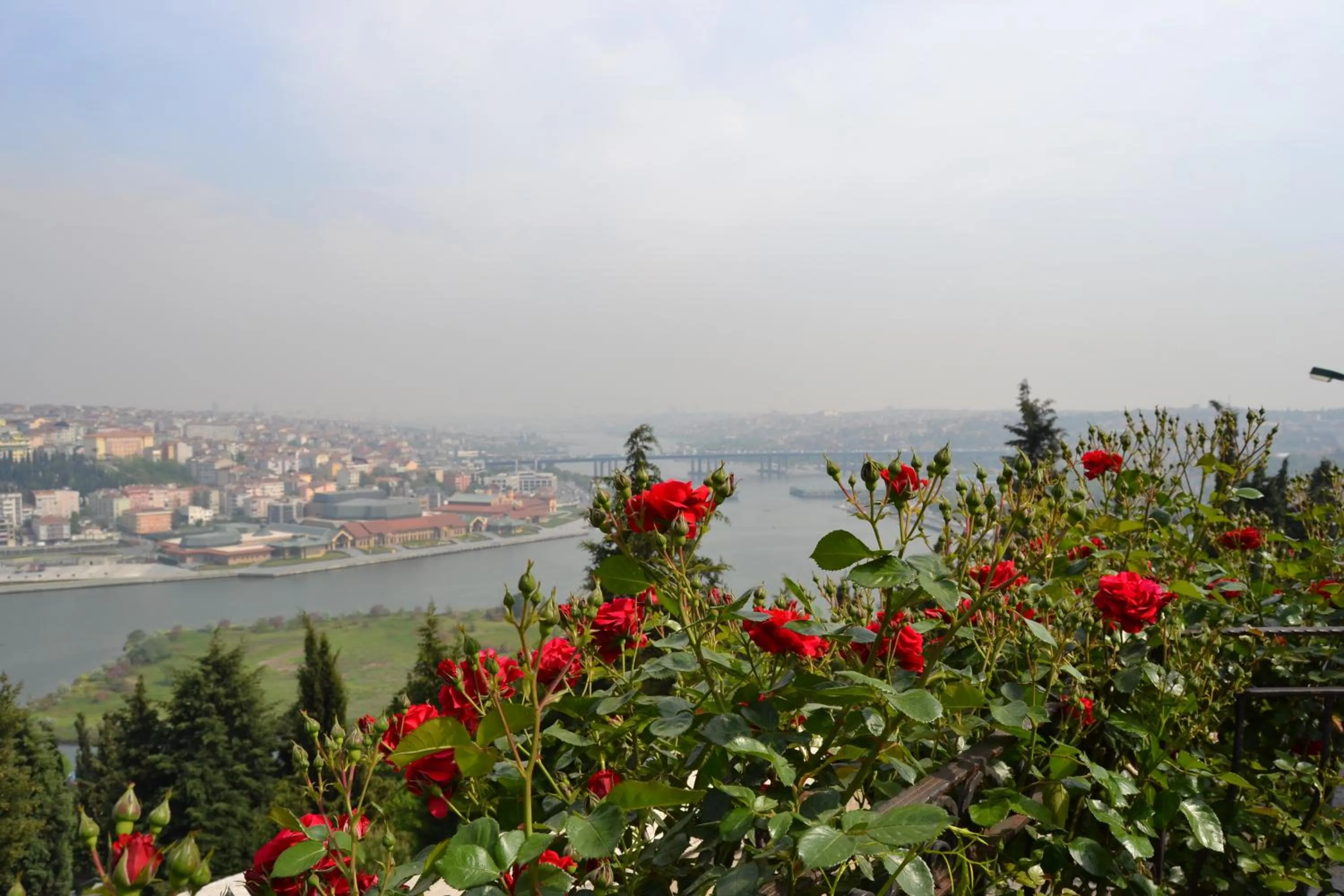 Natural landscape in Turquhouse Hotel