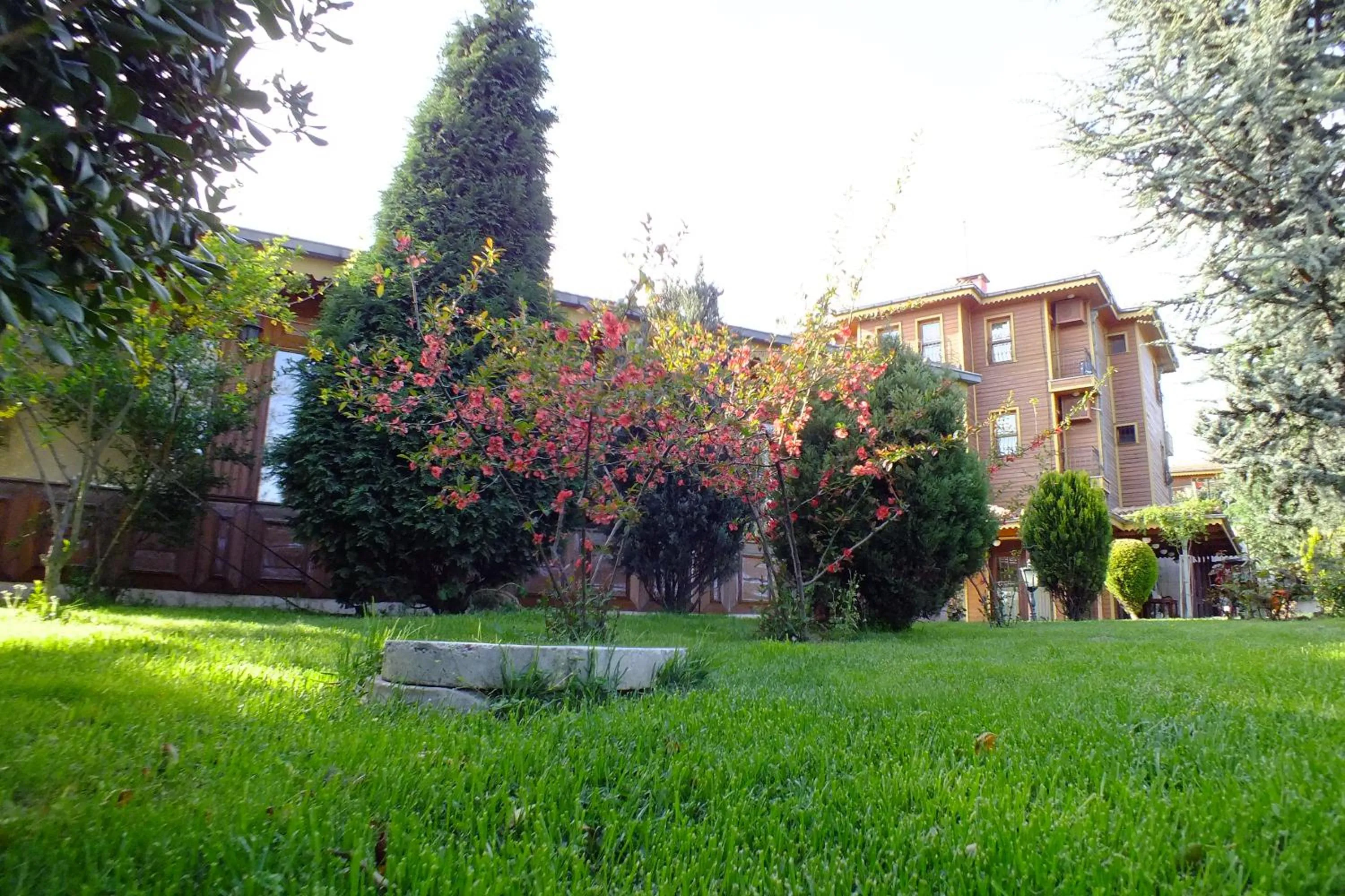 Property building in Turquhouse Hotel