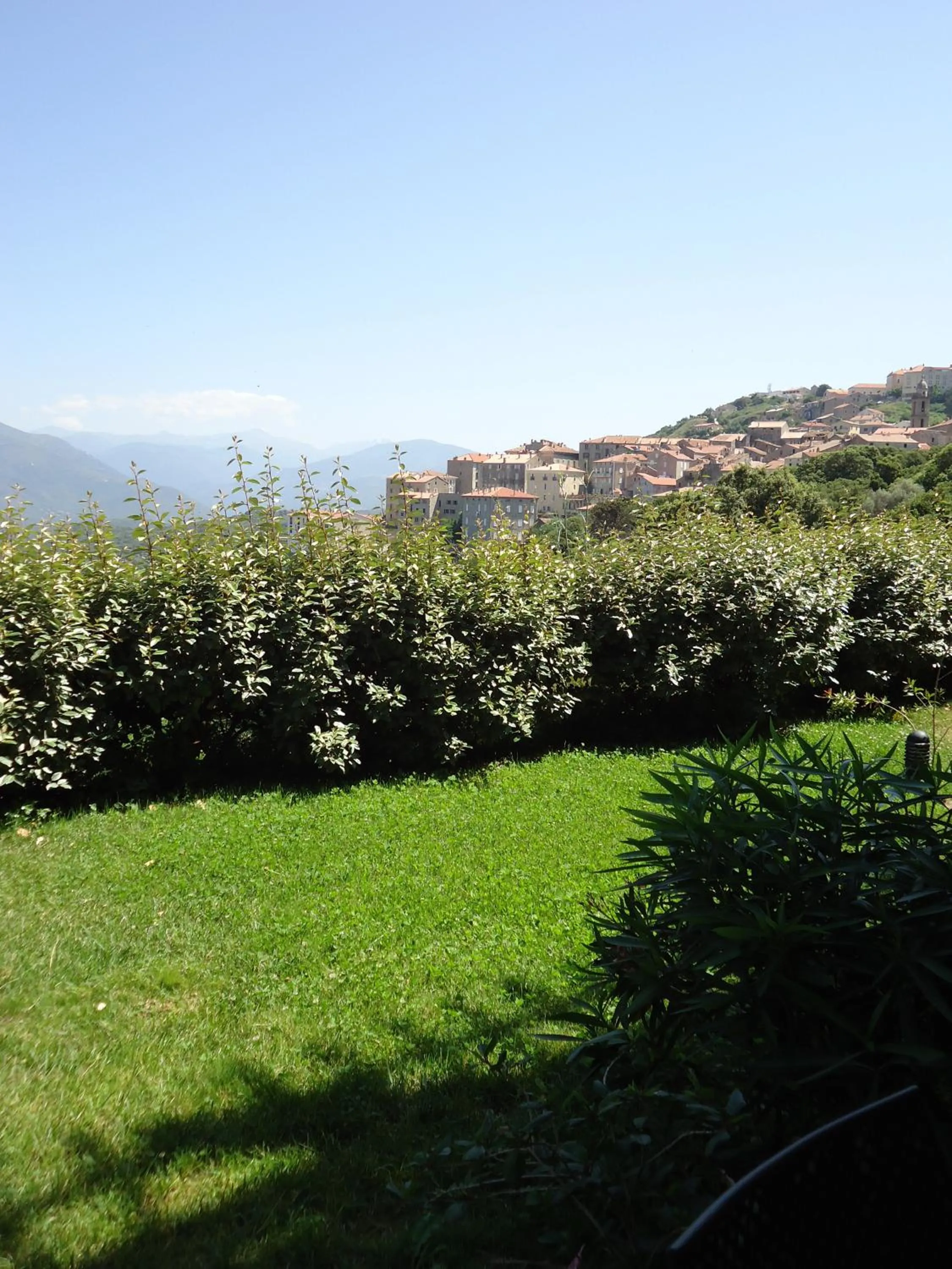Garden in Best Western Plus San Damianu