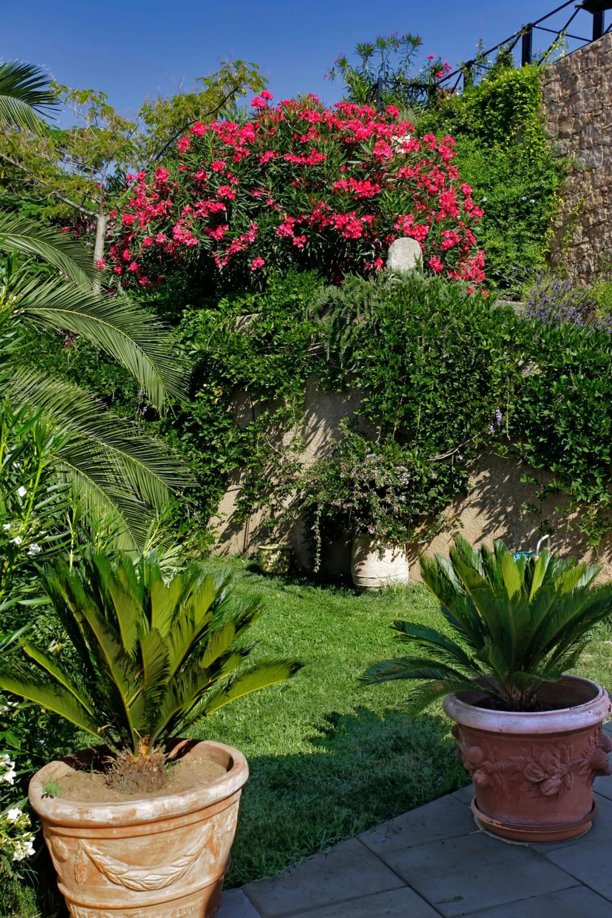 Garden in Best Western Plus San Damianu