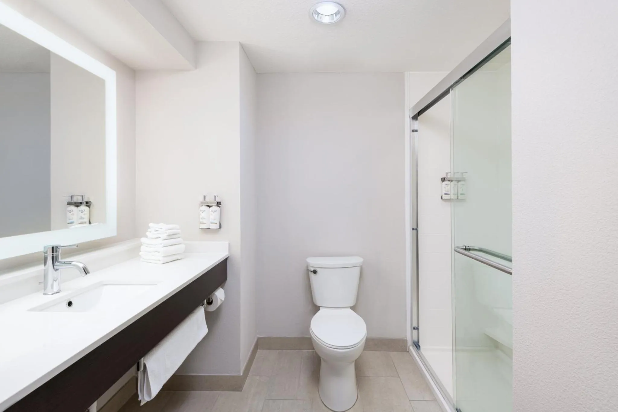 Bathroom in Holiday Inn Express & Suites Spring Hill by IHG