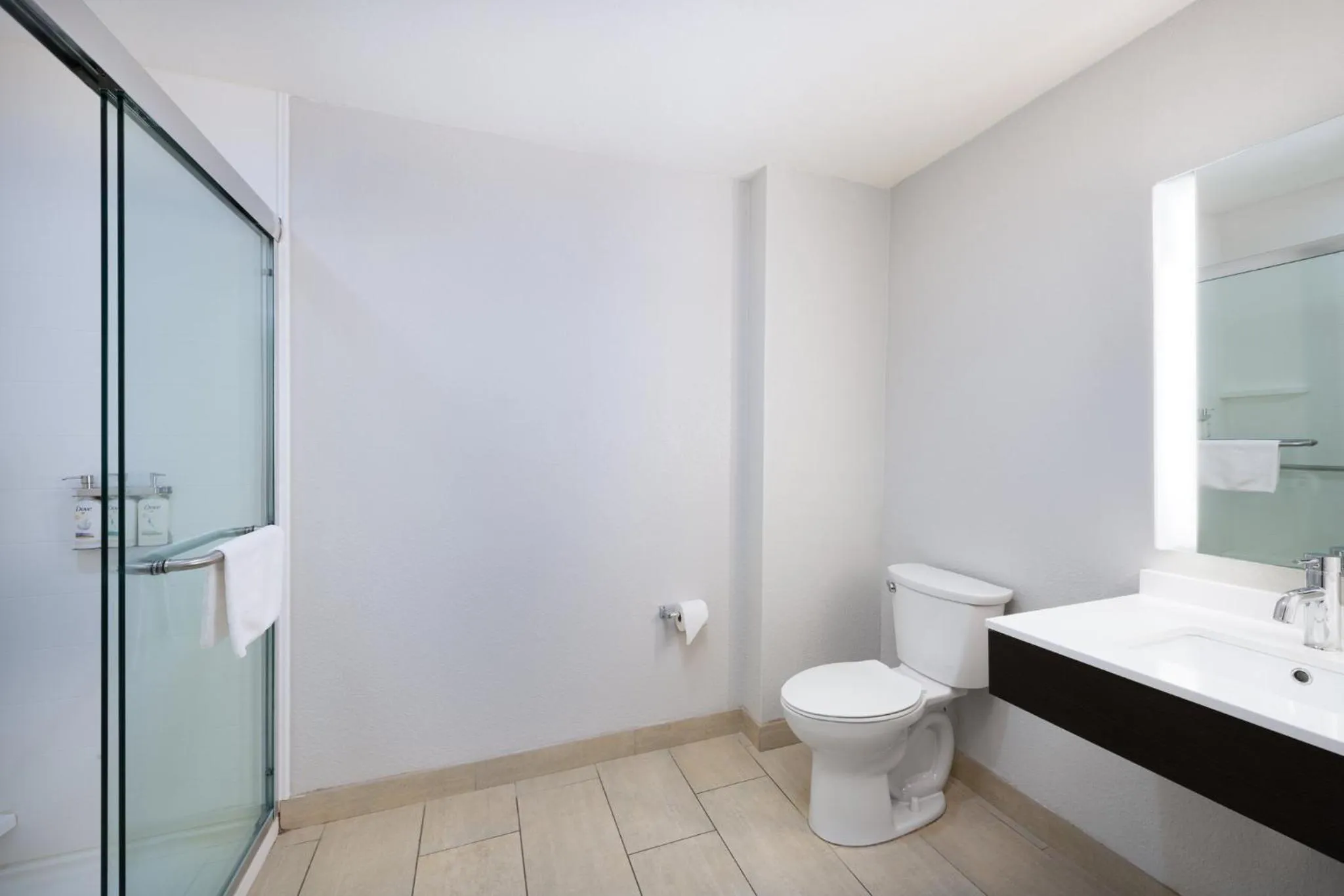 Bathroom in Holiday Inn Express & Suites Spring Hill by IHG
