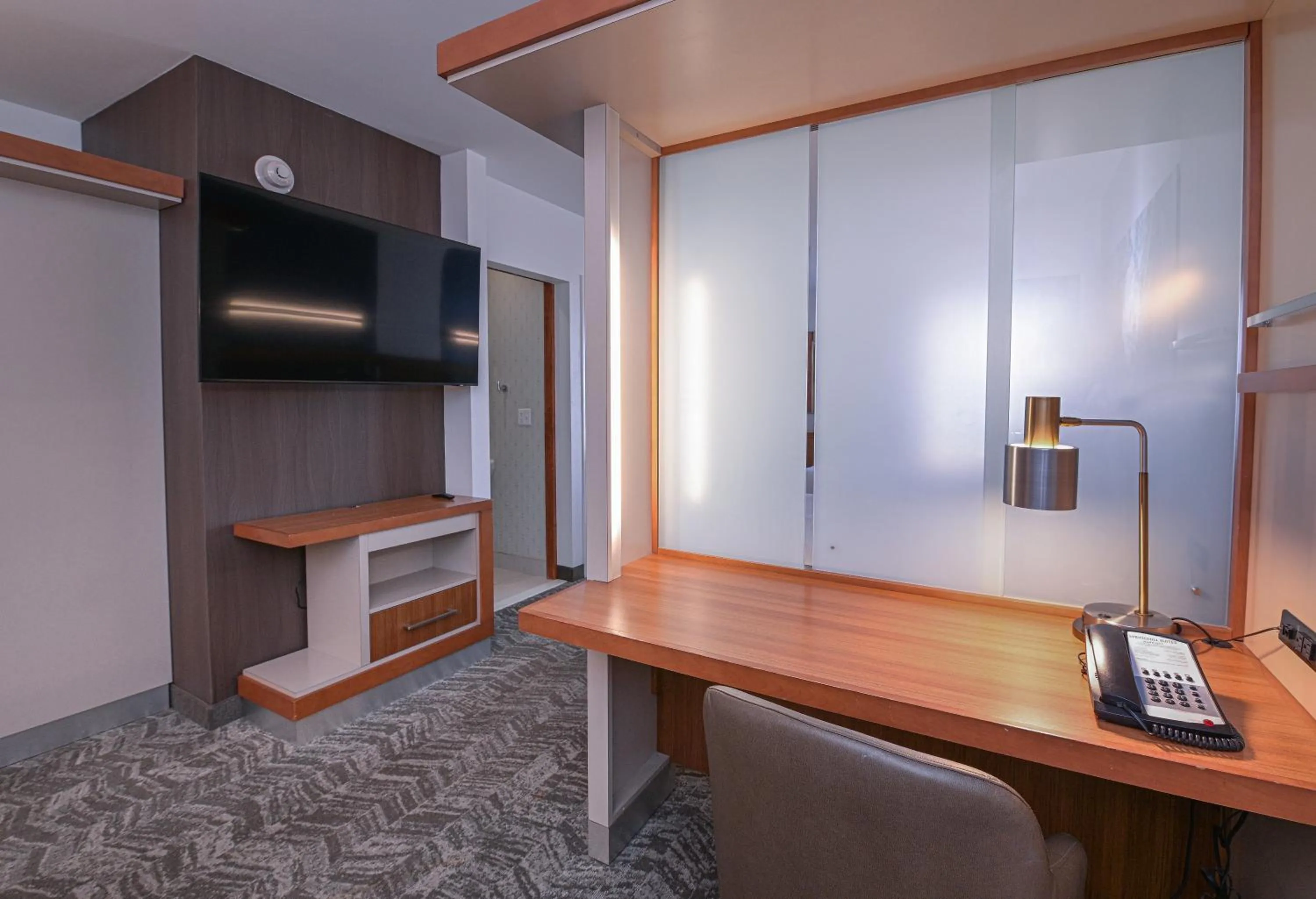 TV and multimedia in SpringHill Suites by Marriott Grand Forks