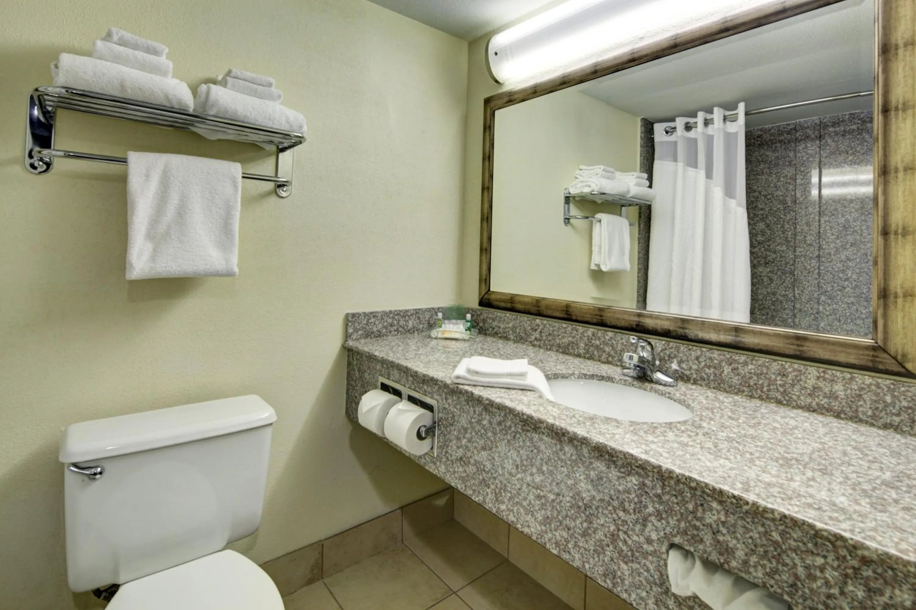 Bathroom in Holiday Inn Staunton Conference Center by IHG