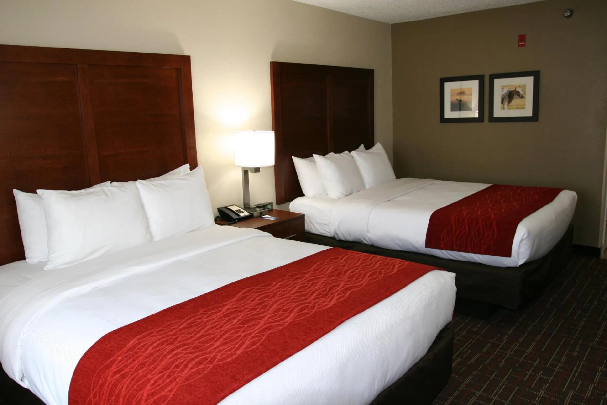 Bedroom, Bed in Comfort Inn Wichita Falls Near University