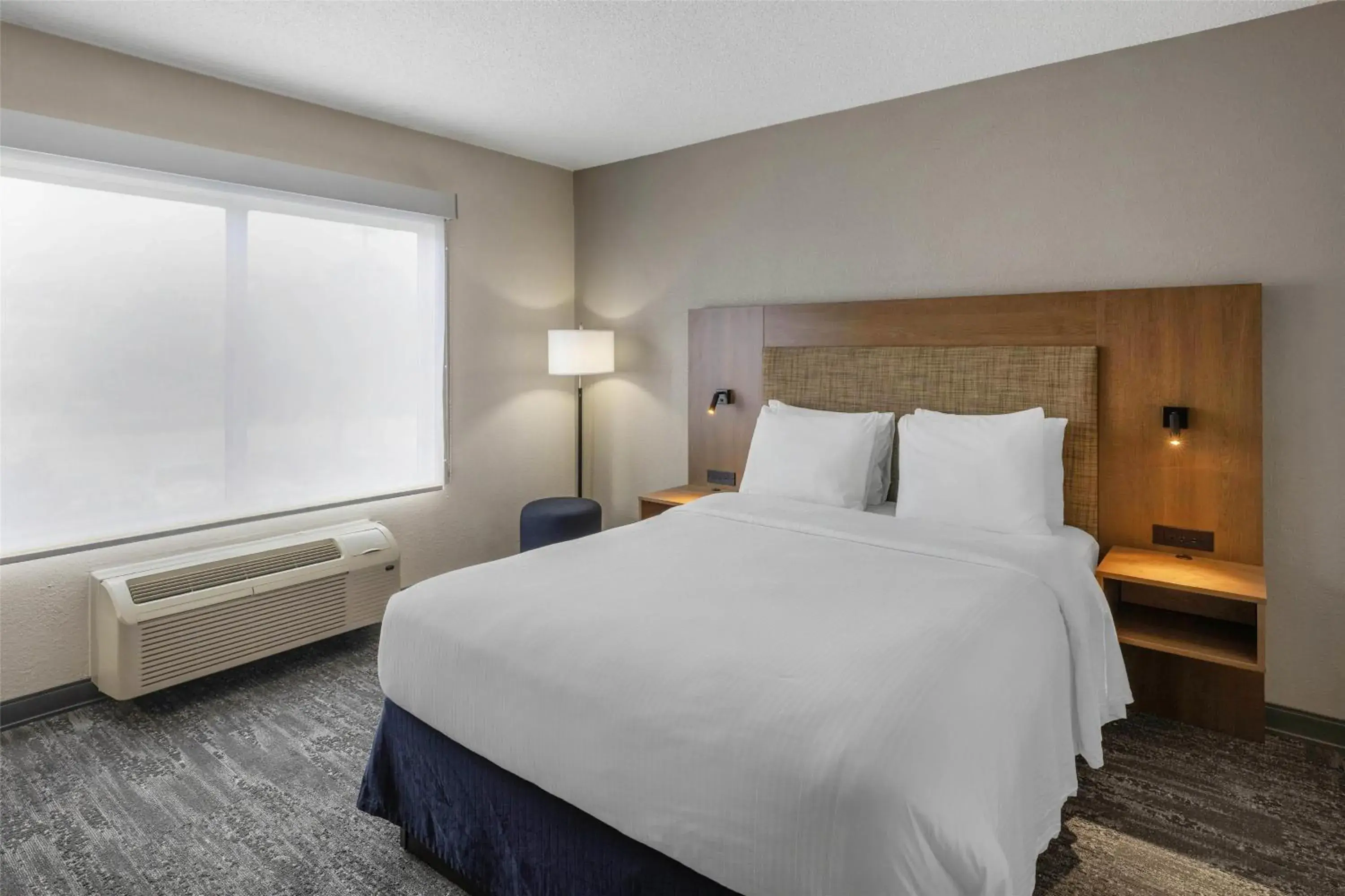 Queen Room in Best Western Louisville South - Shepherdsville Queen Room in Best Western Louisville South - Shepherdsville