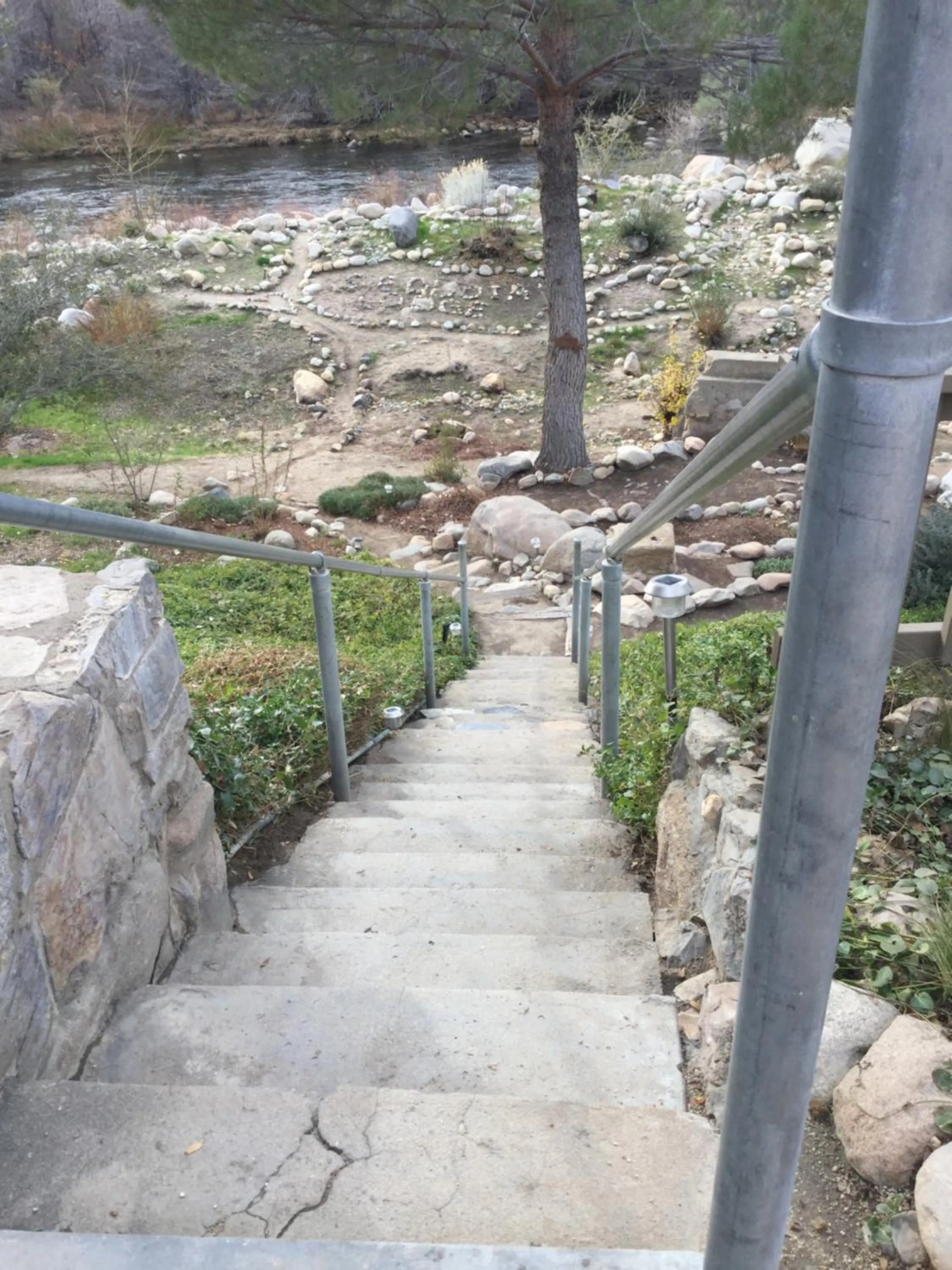 Day in Sequoia Lodge