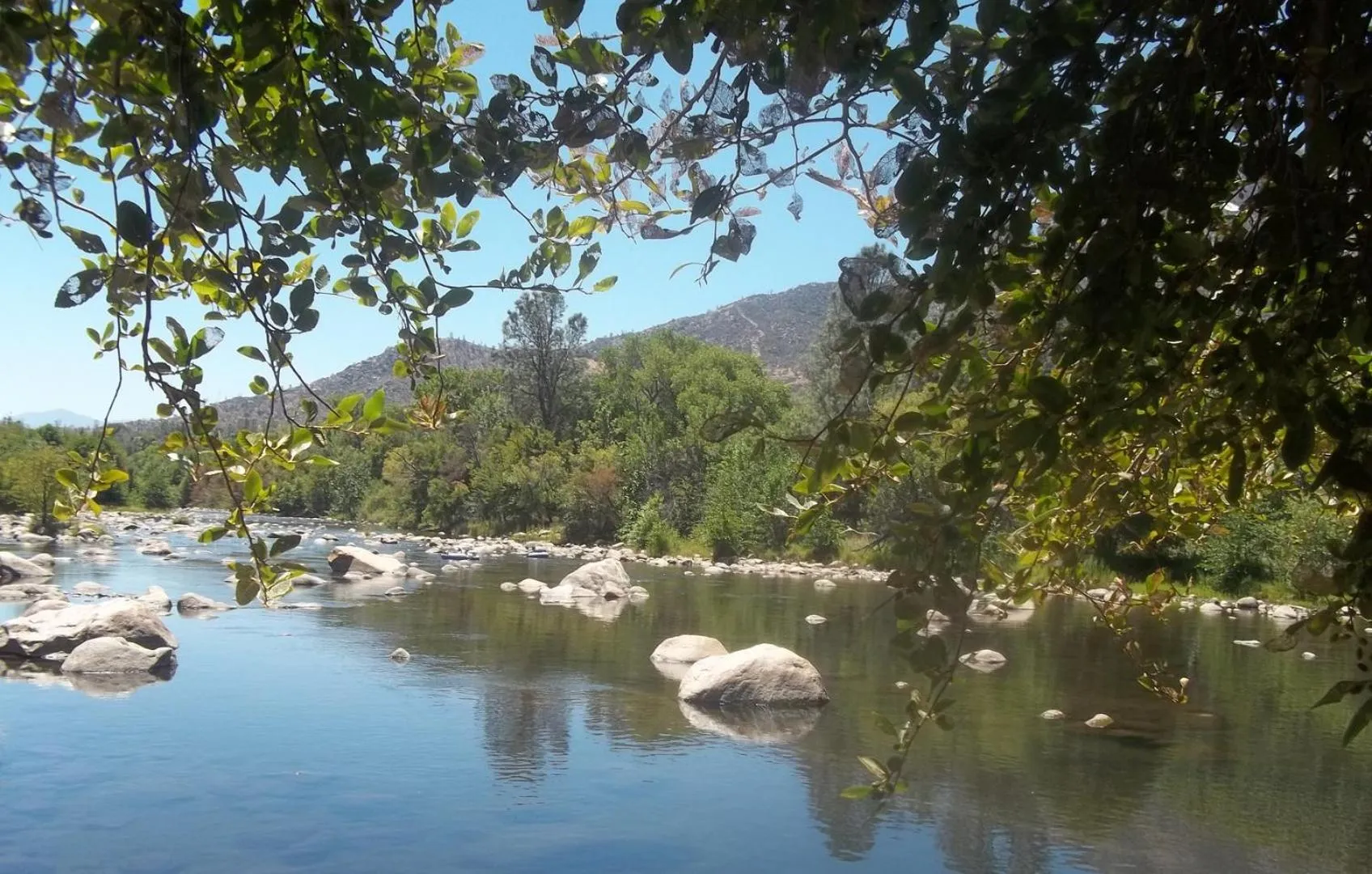 River view in Sequoia Lodge