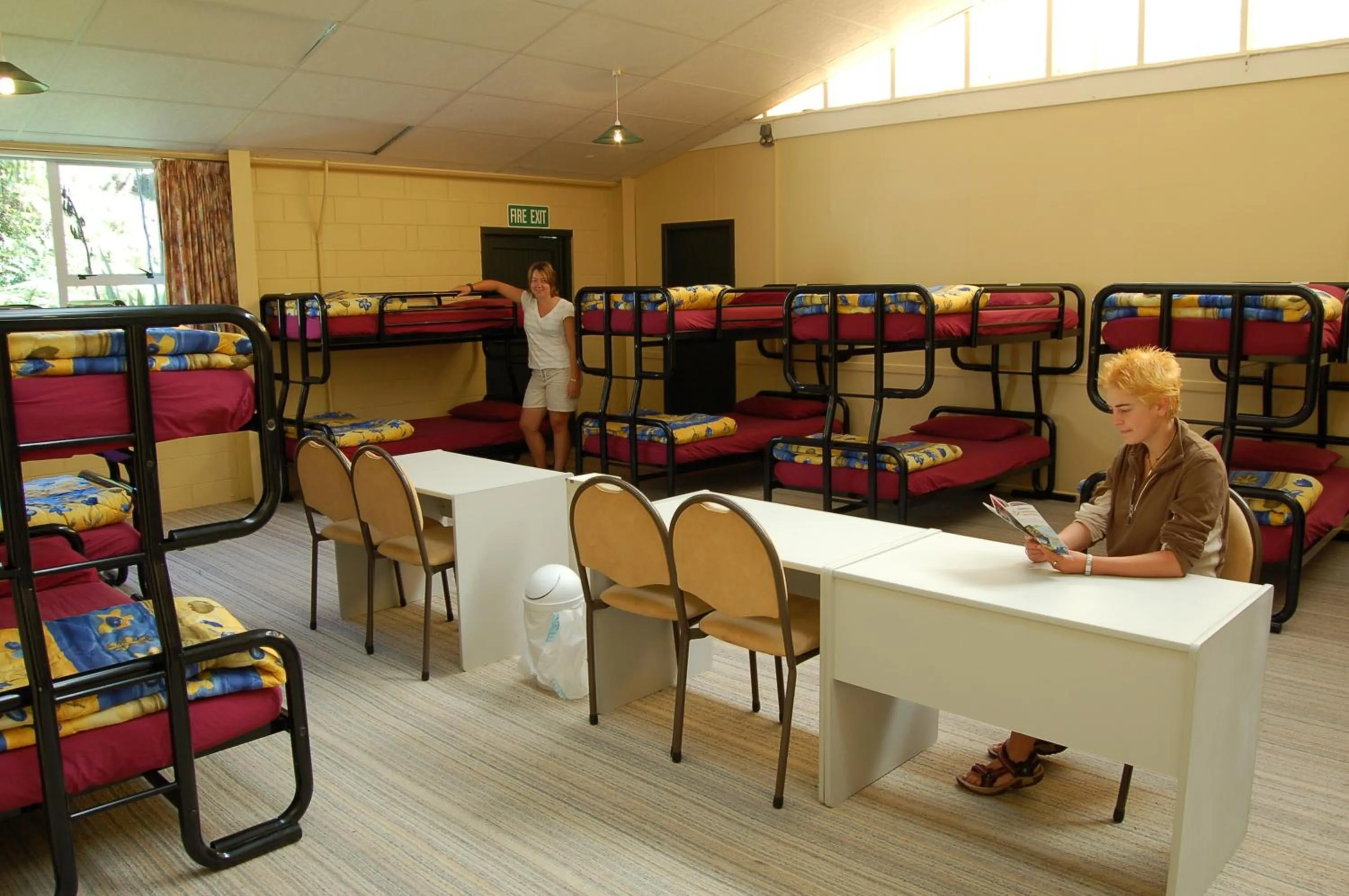 bunk bed in Egmont Eco Leisure Park & Backpackers