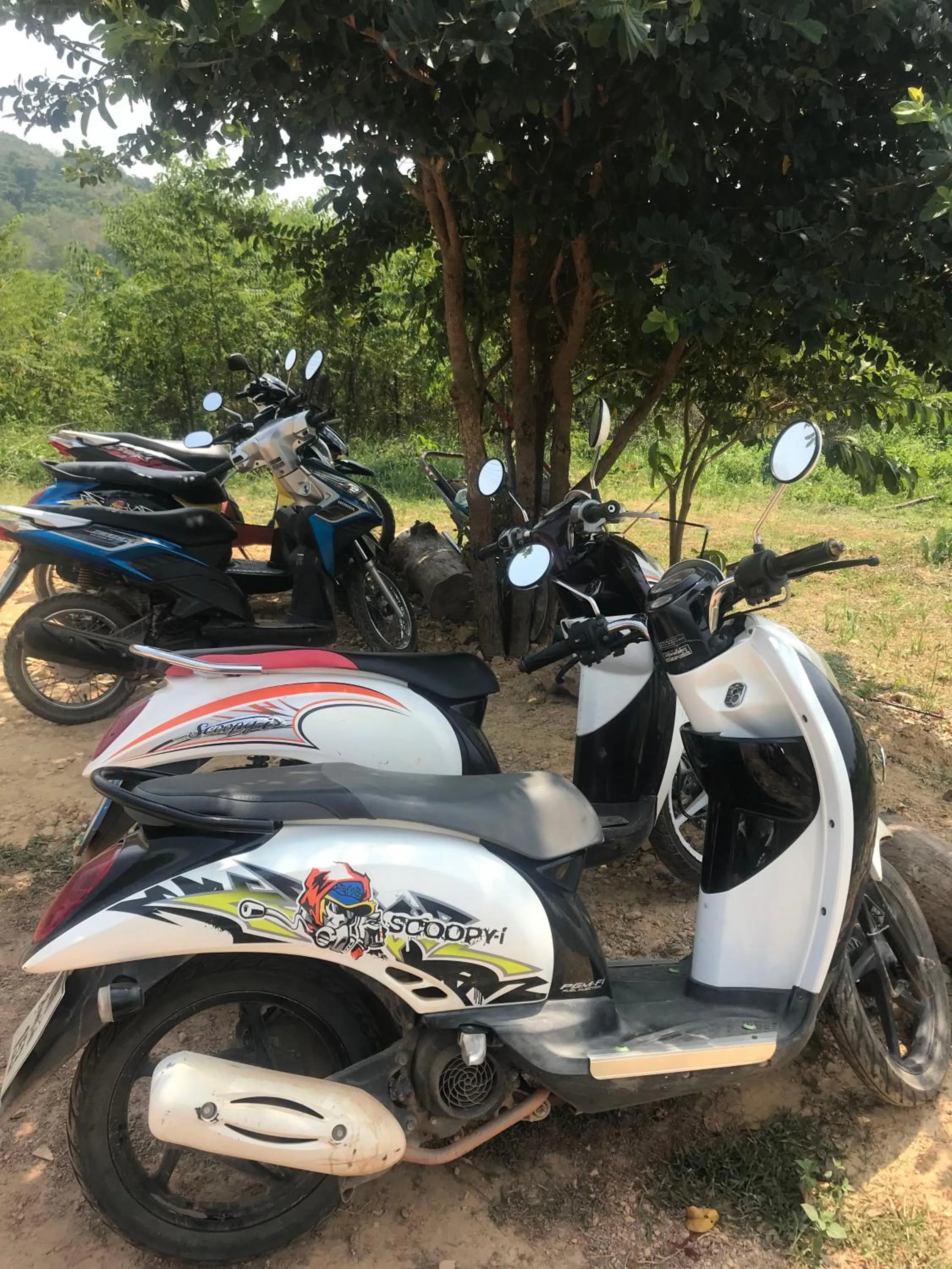 Other in Cat Bungalow