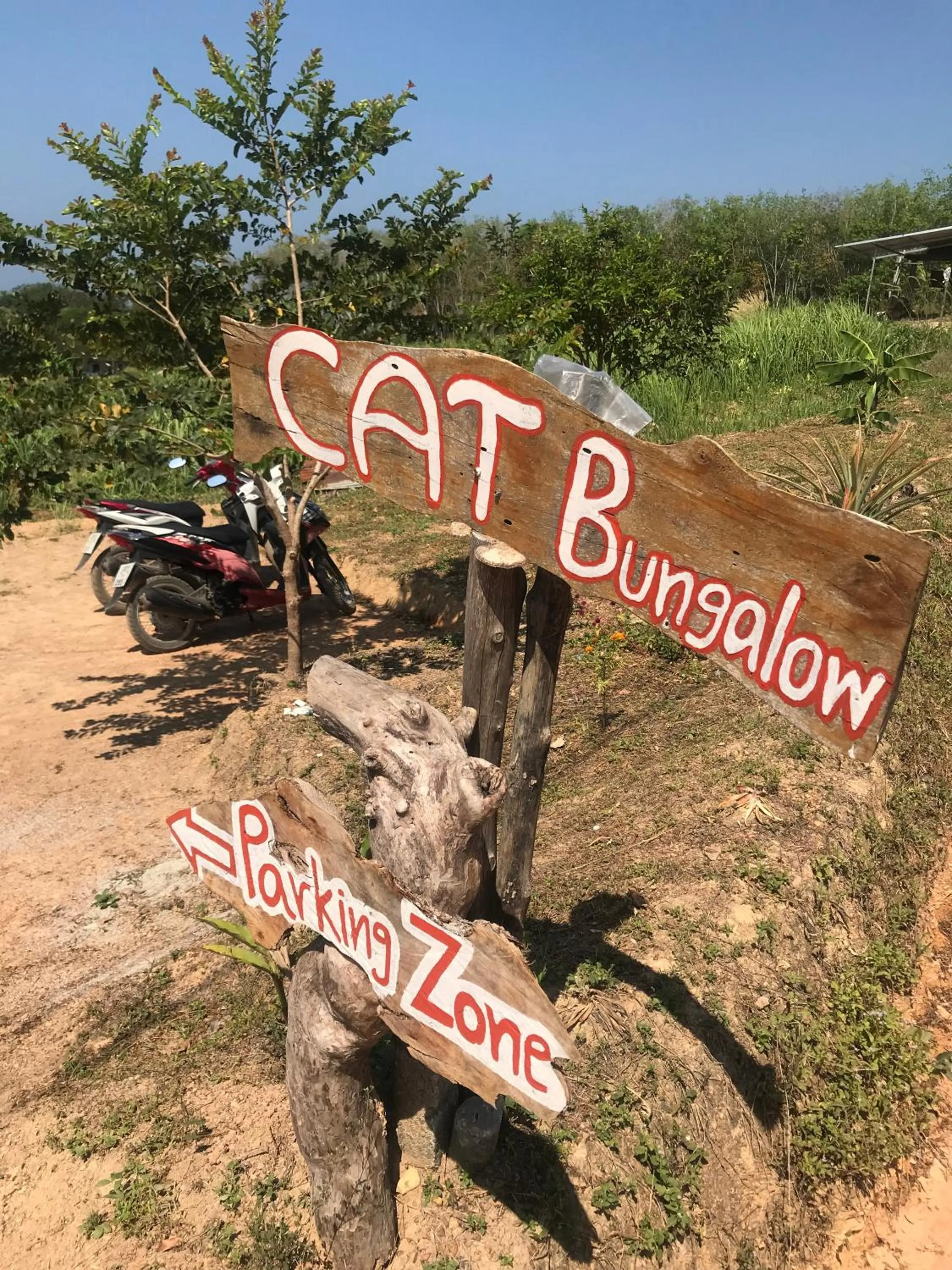 Area and facilities in Cat Bungalow