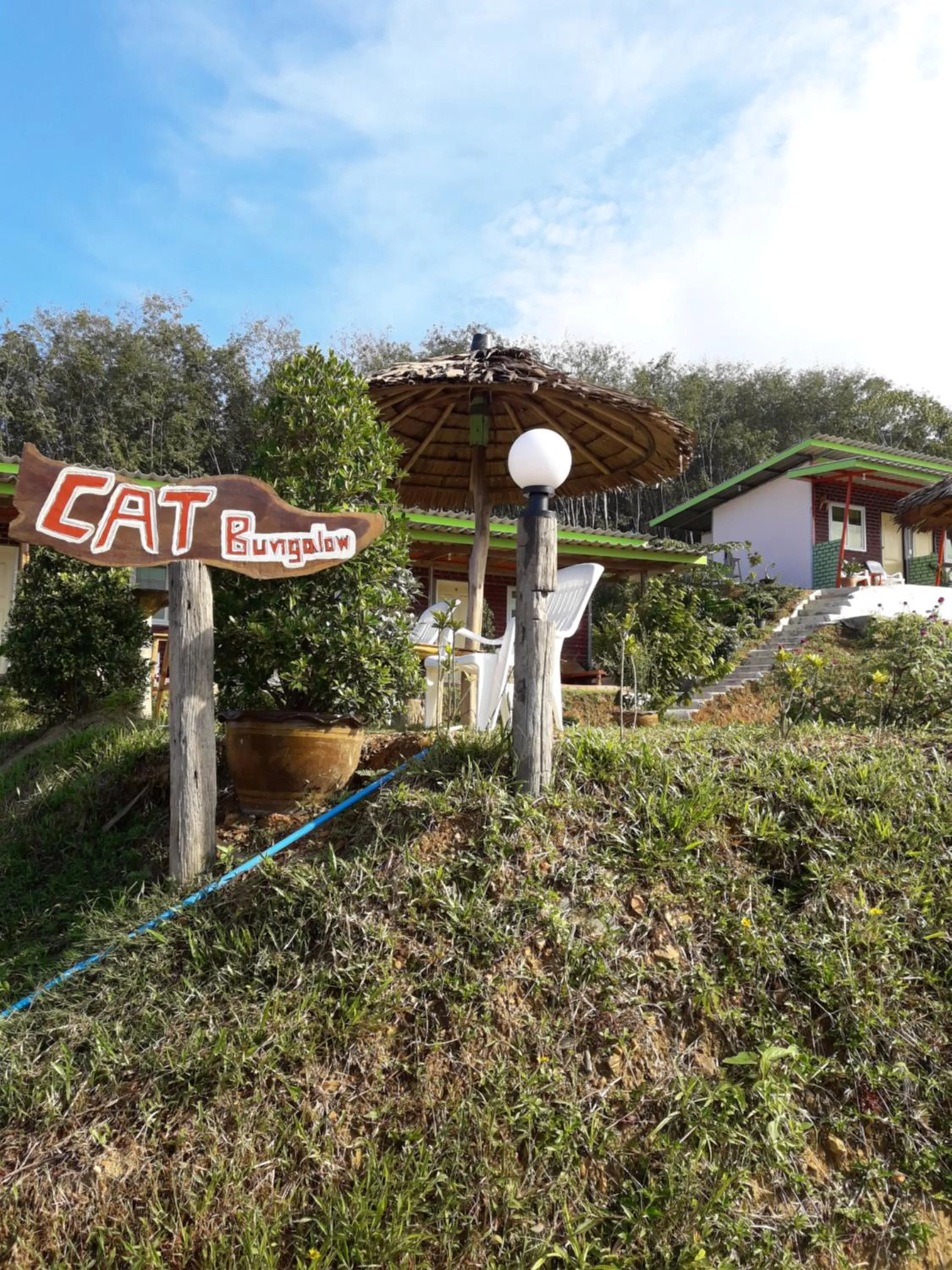 Facade/entrance in Cat Bungalow