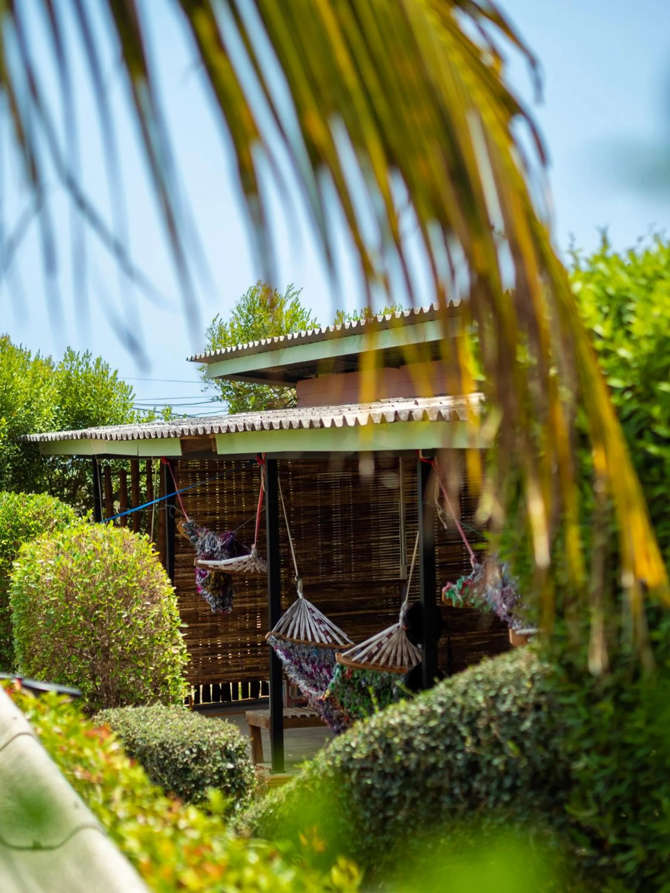 Patio in Cat Bungalow