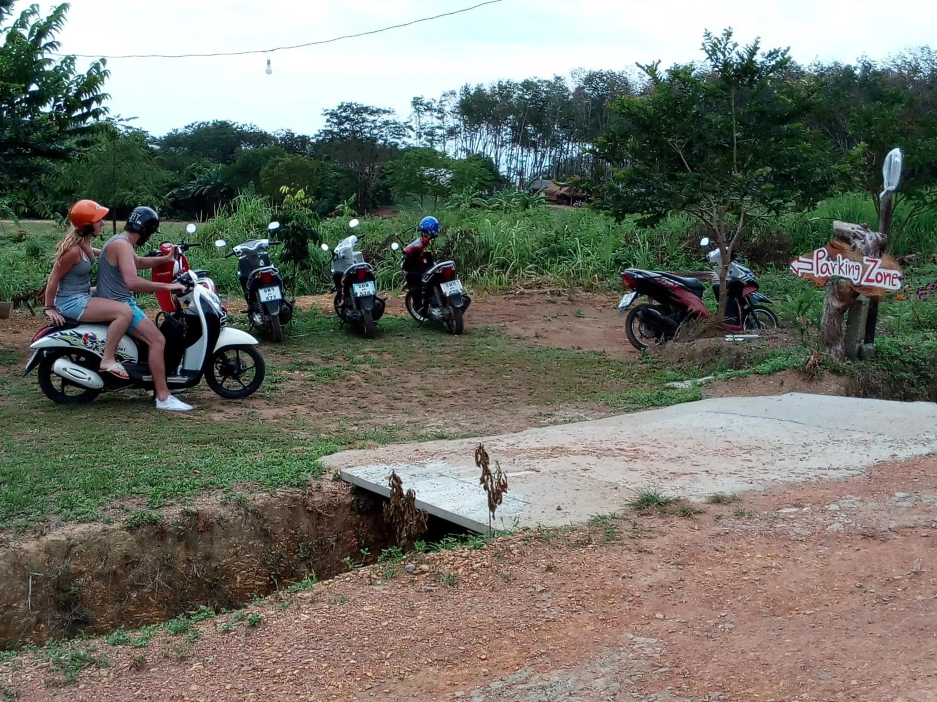 Area and facilities in Cat Bungalow