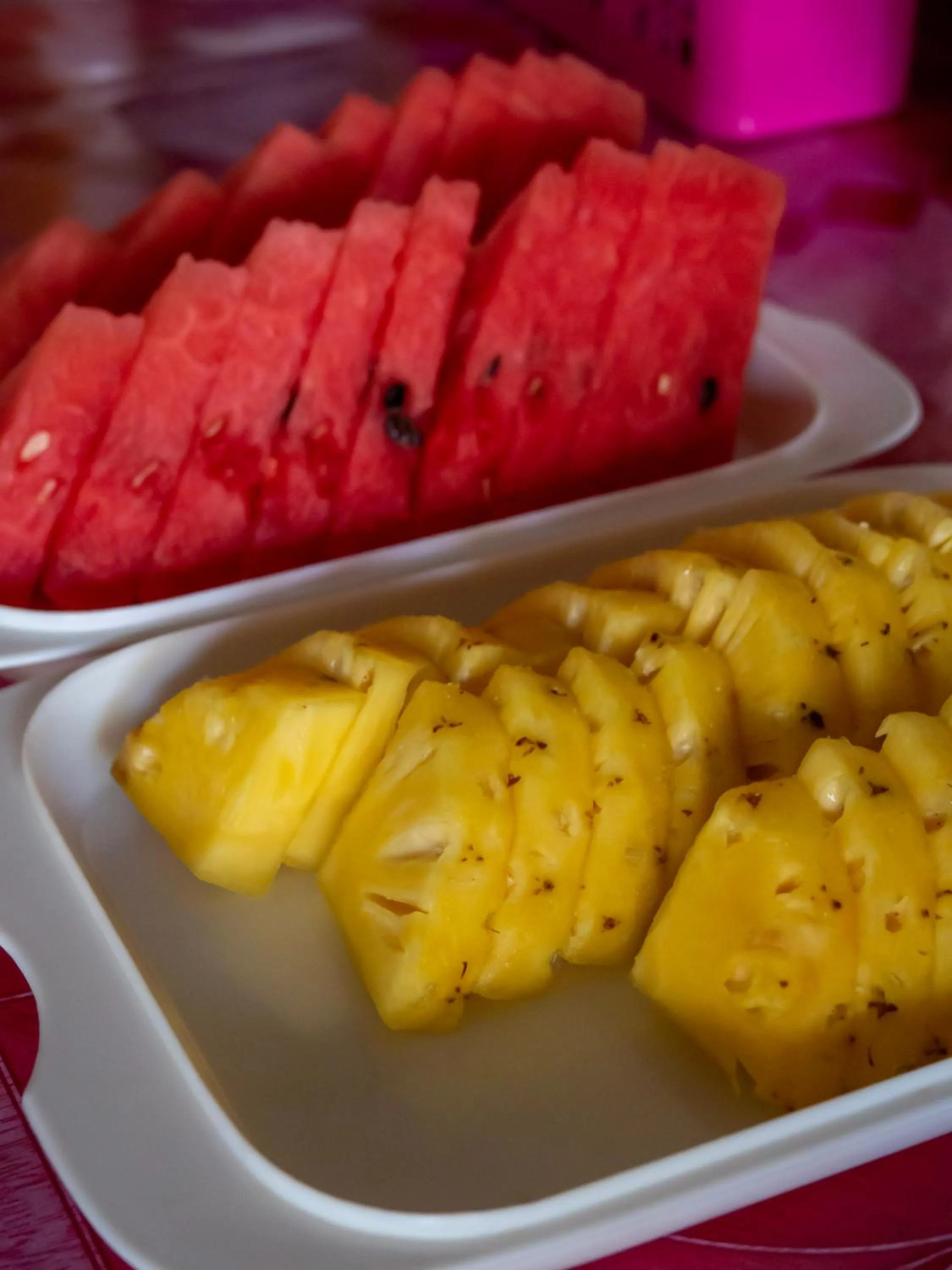 Breakfast in Cat Bungalow