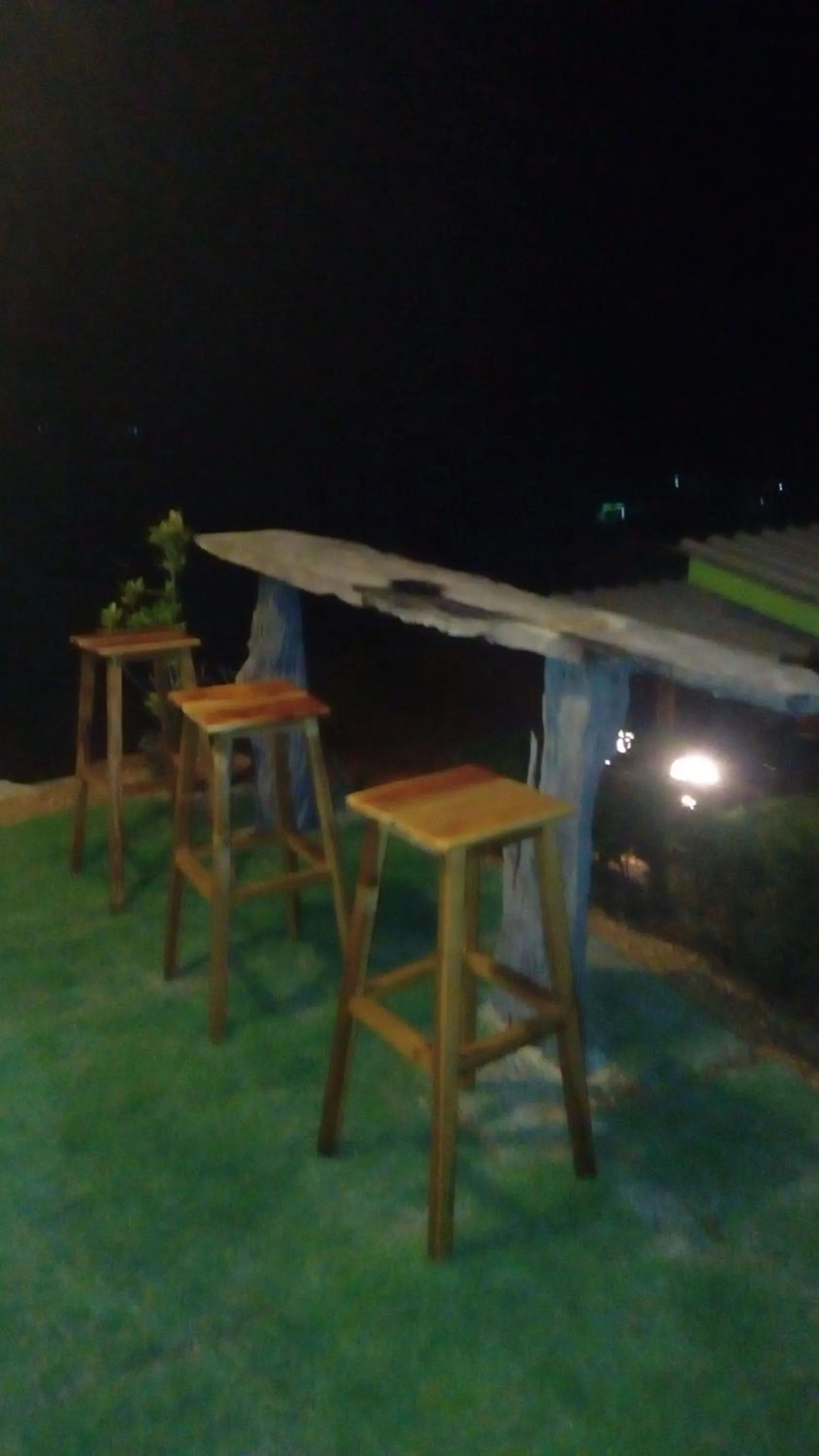 Area and facilities in Cat Bungalow