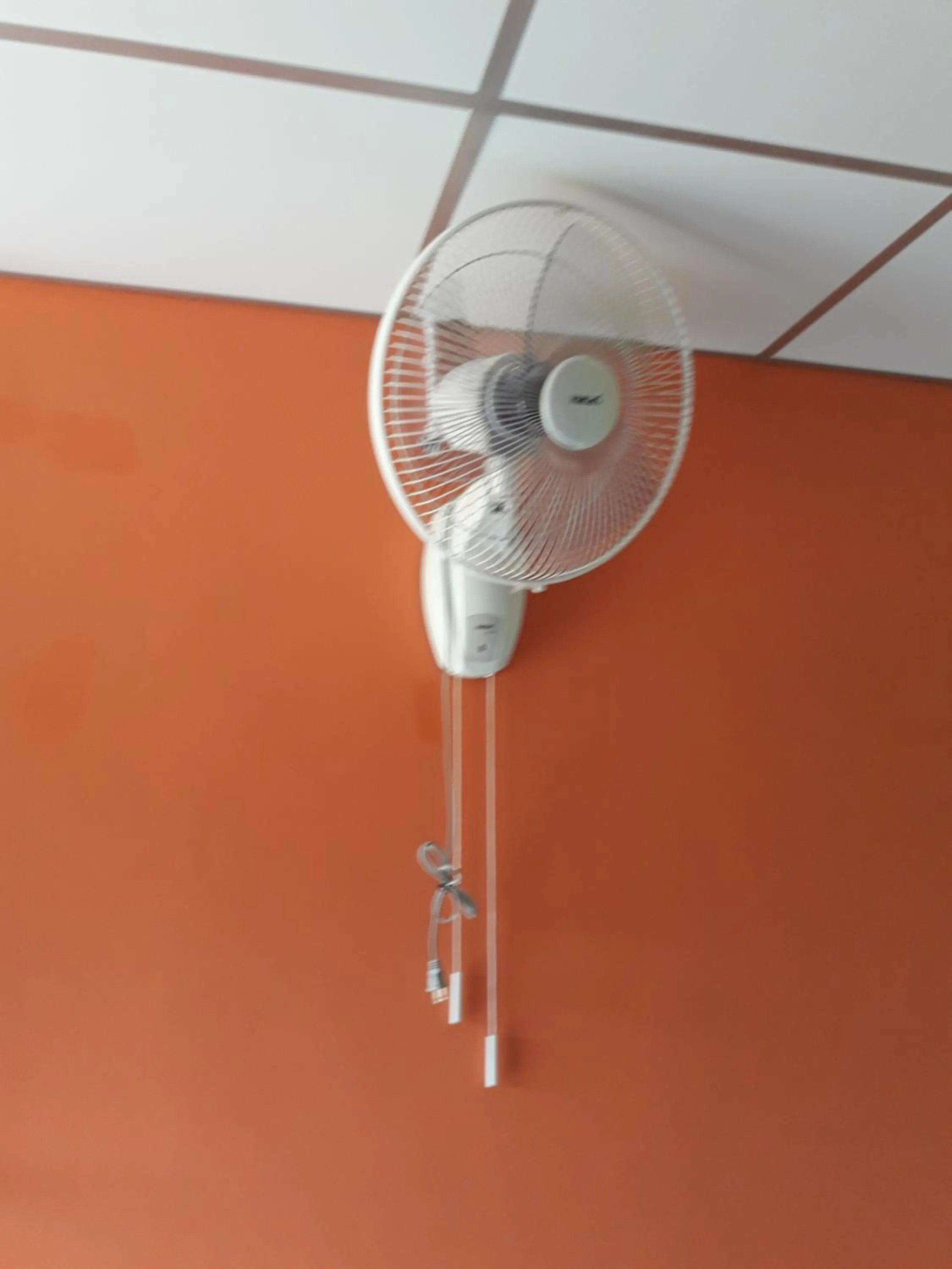 Bedroom in Cat Bungalow