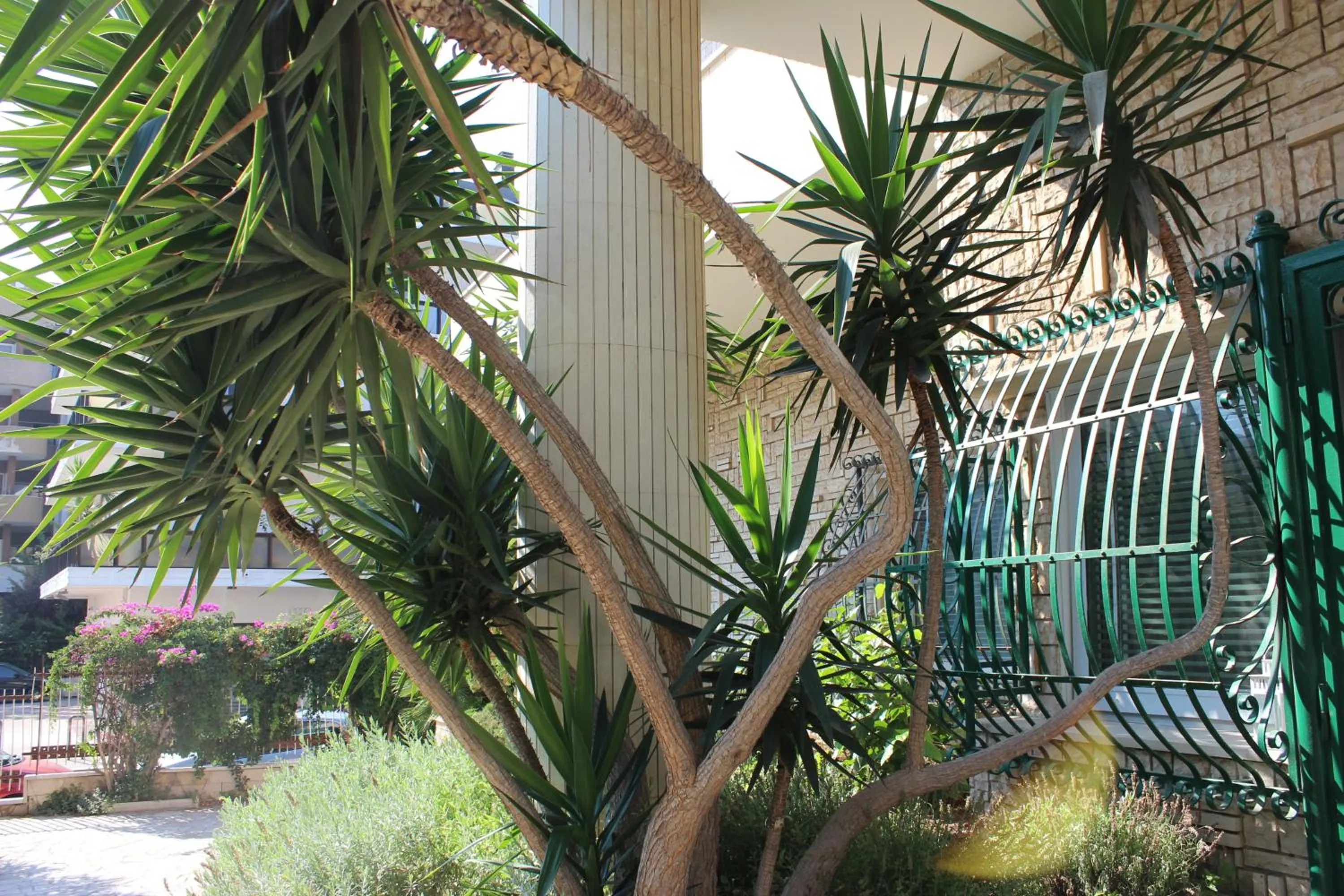 Garden view in Villa Wanda - Residenza di charme