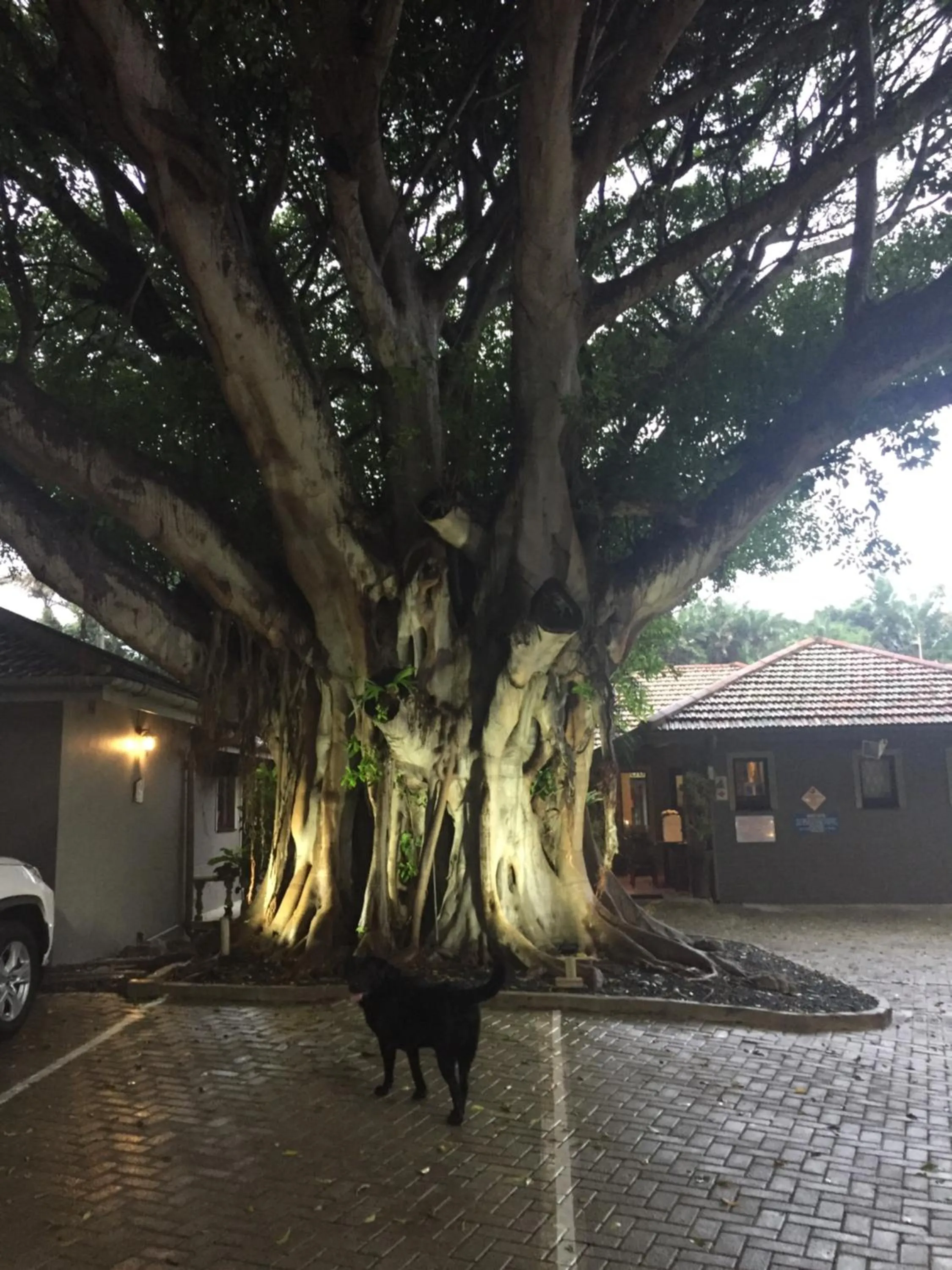 Tropical Beach Boutique Guesthouse