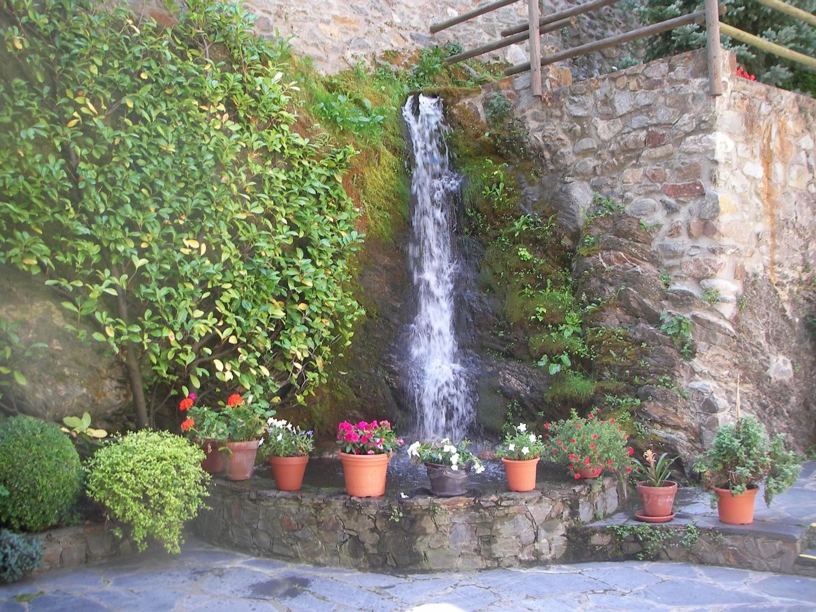 Garden in Hotel Sant Antoni