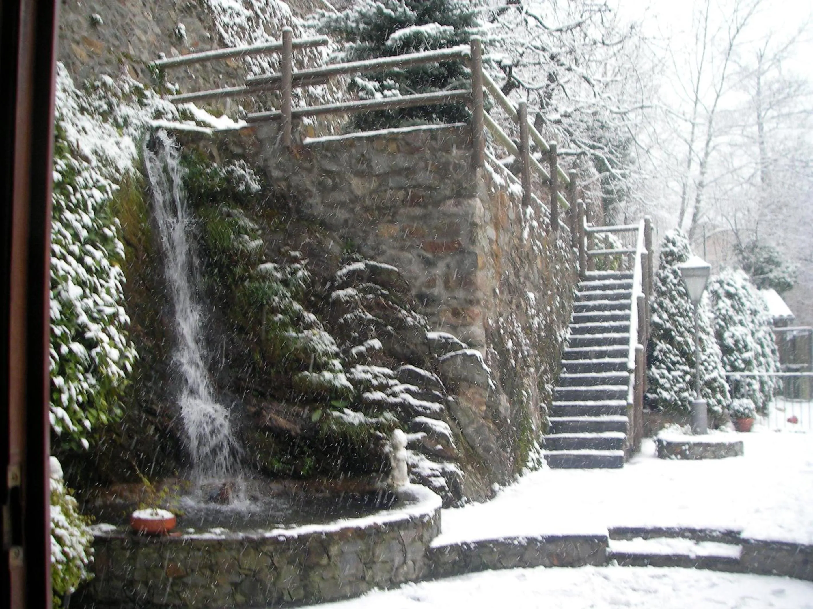 Garden in Hotel Sant Antoni