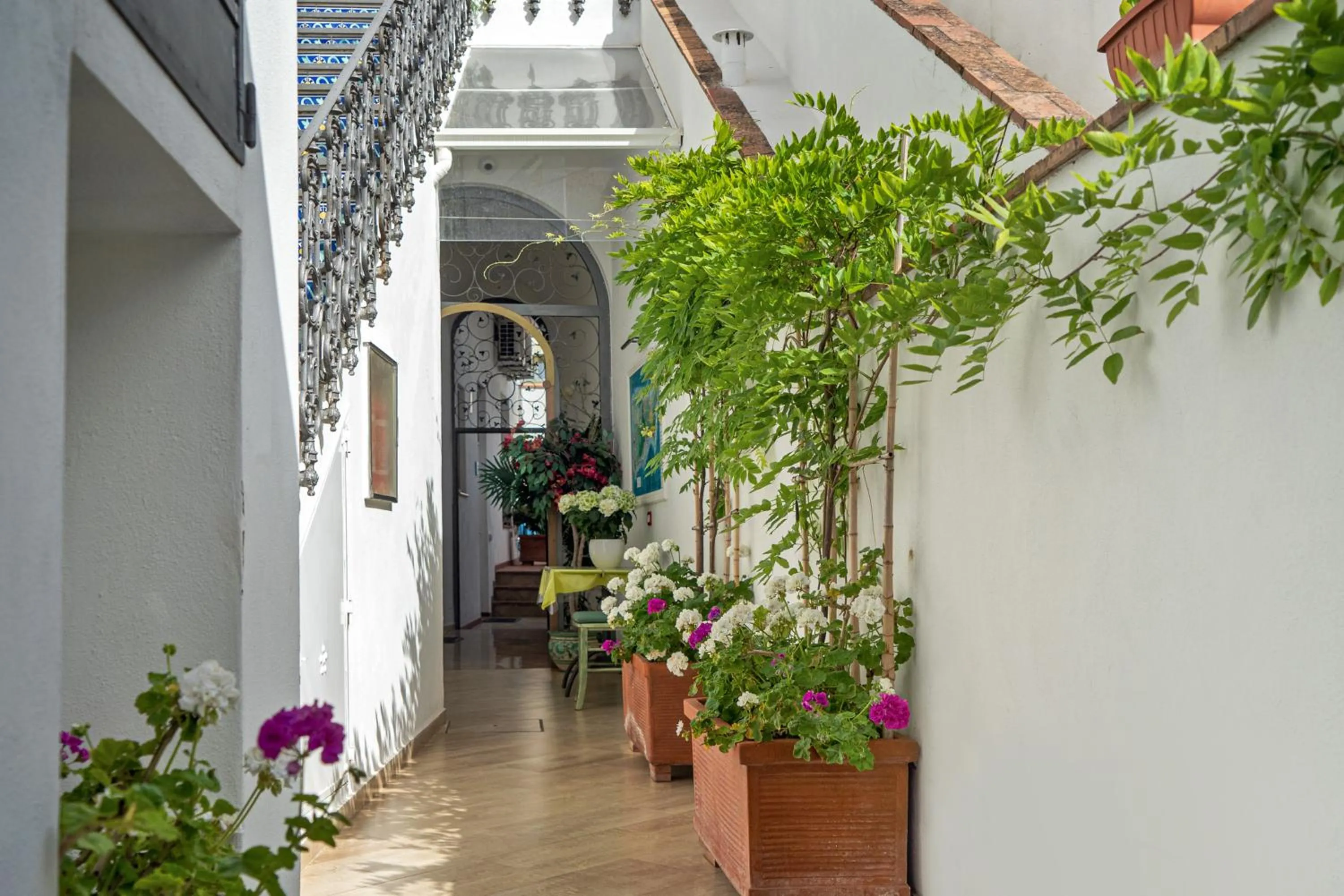 Property building in Capri Dreaming