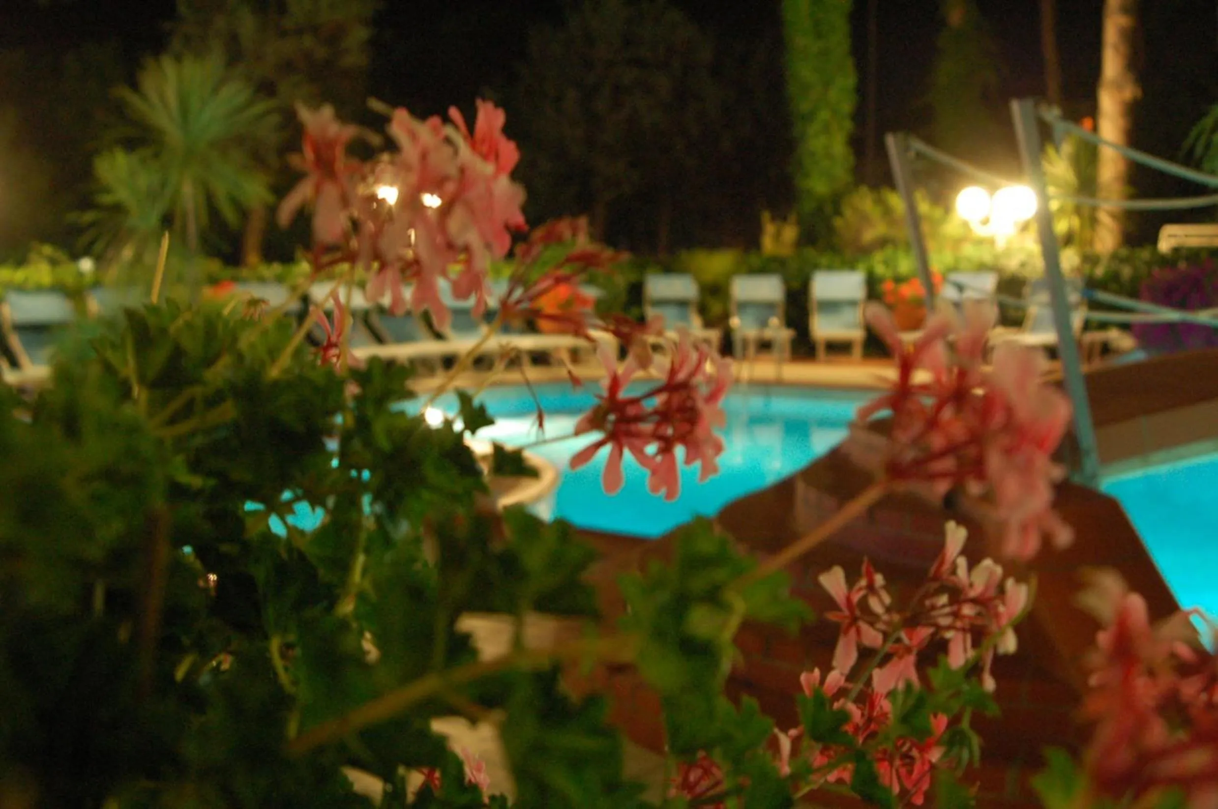 Swimming pool in Hotel Donatella Pinarella