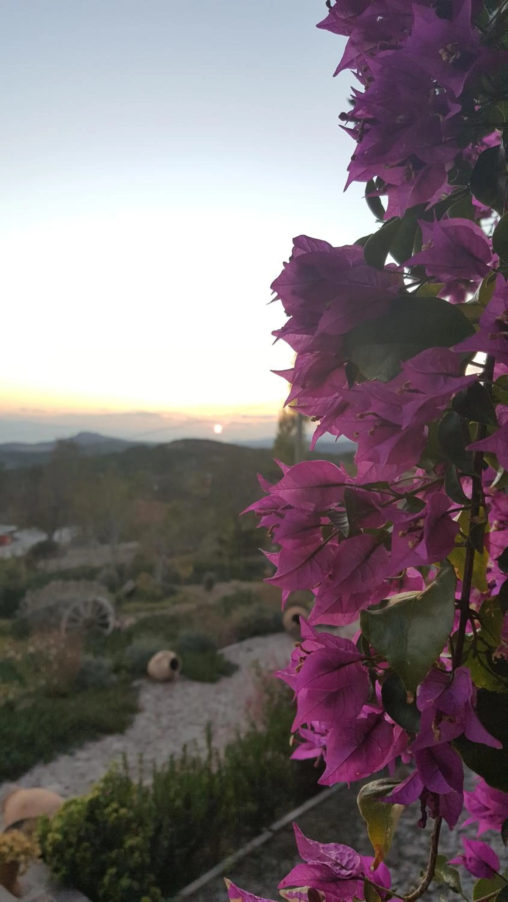 Sunrise in Assos Sunaba Kasri Hotel