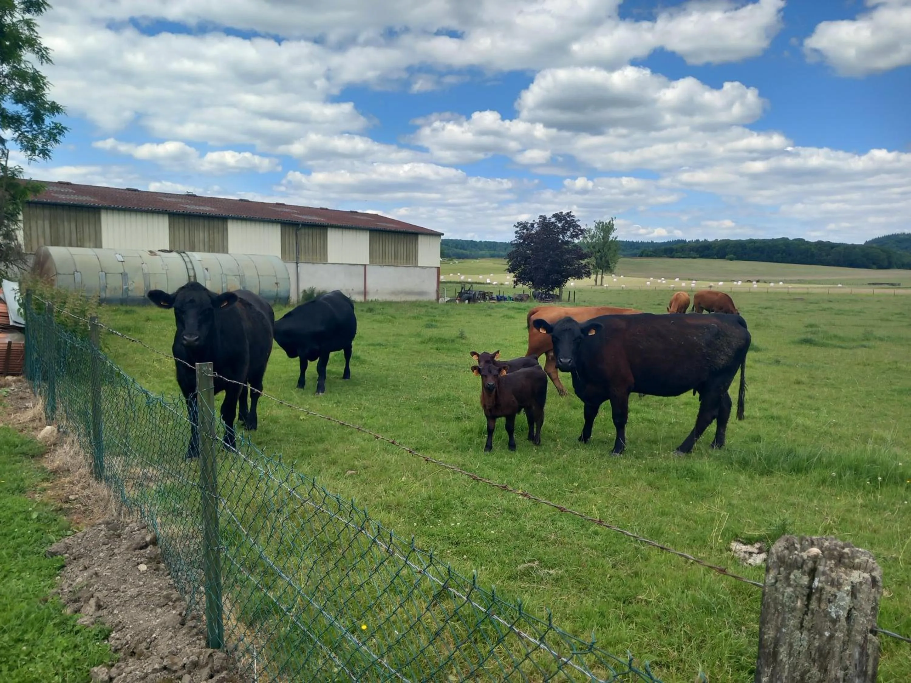 Natural landscape in Relais de la Mothe LA SUITE