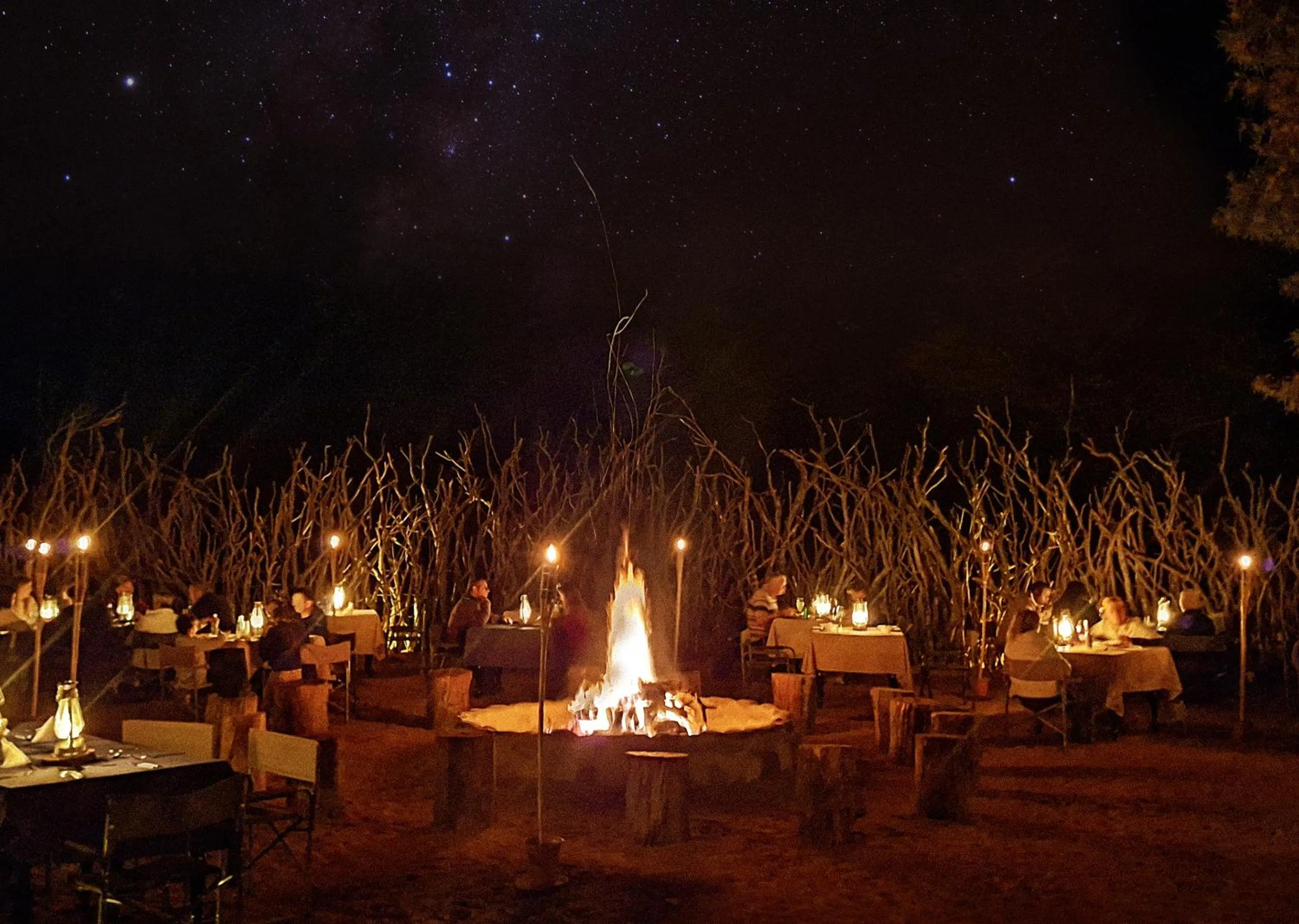 Night in Finfoot Lake Reserve by Dream Resorts