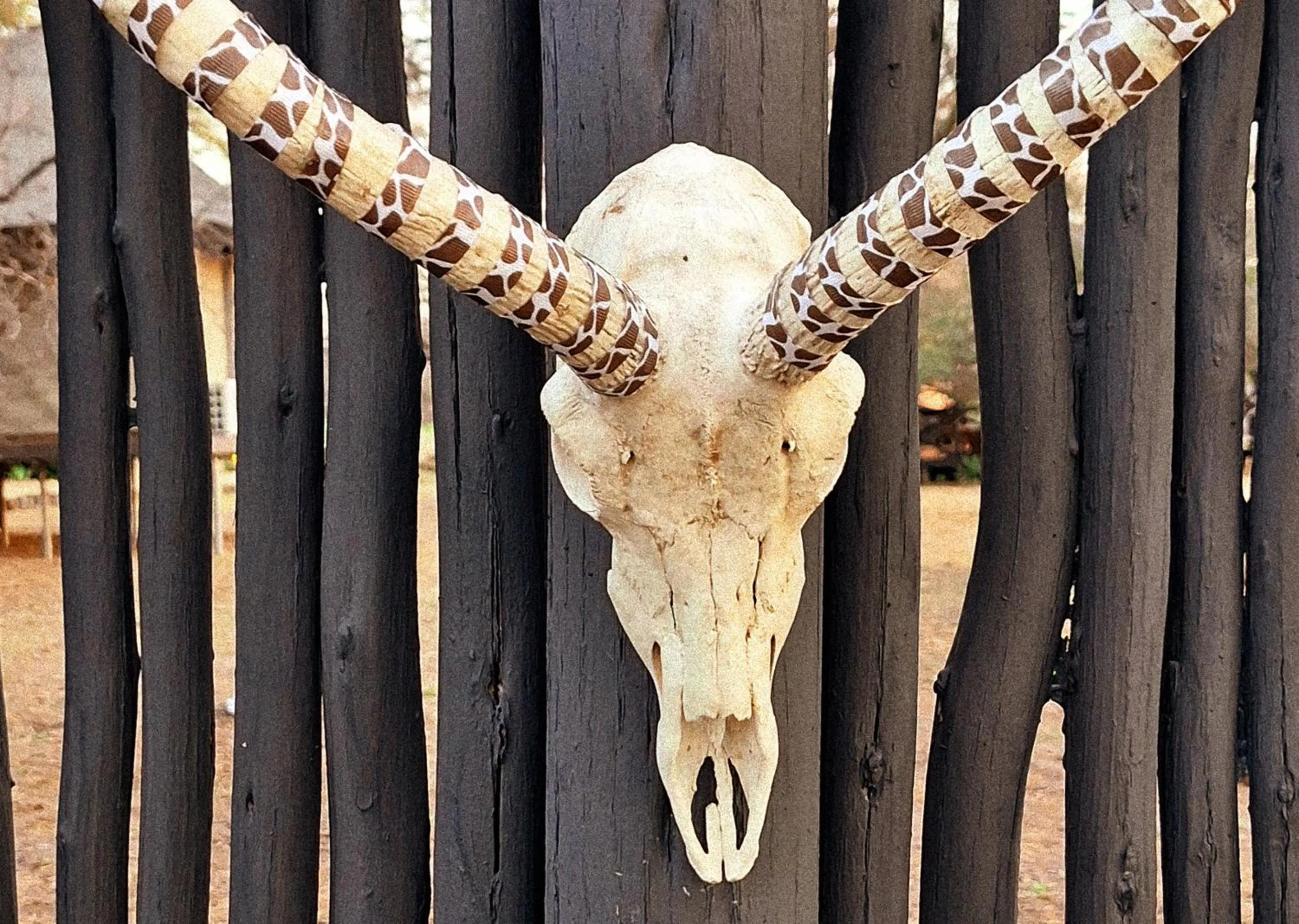 People in Finfoot Lake Reserve by Dream Resorts