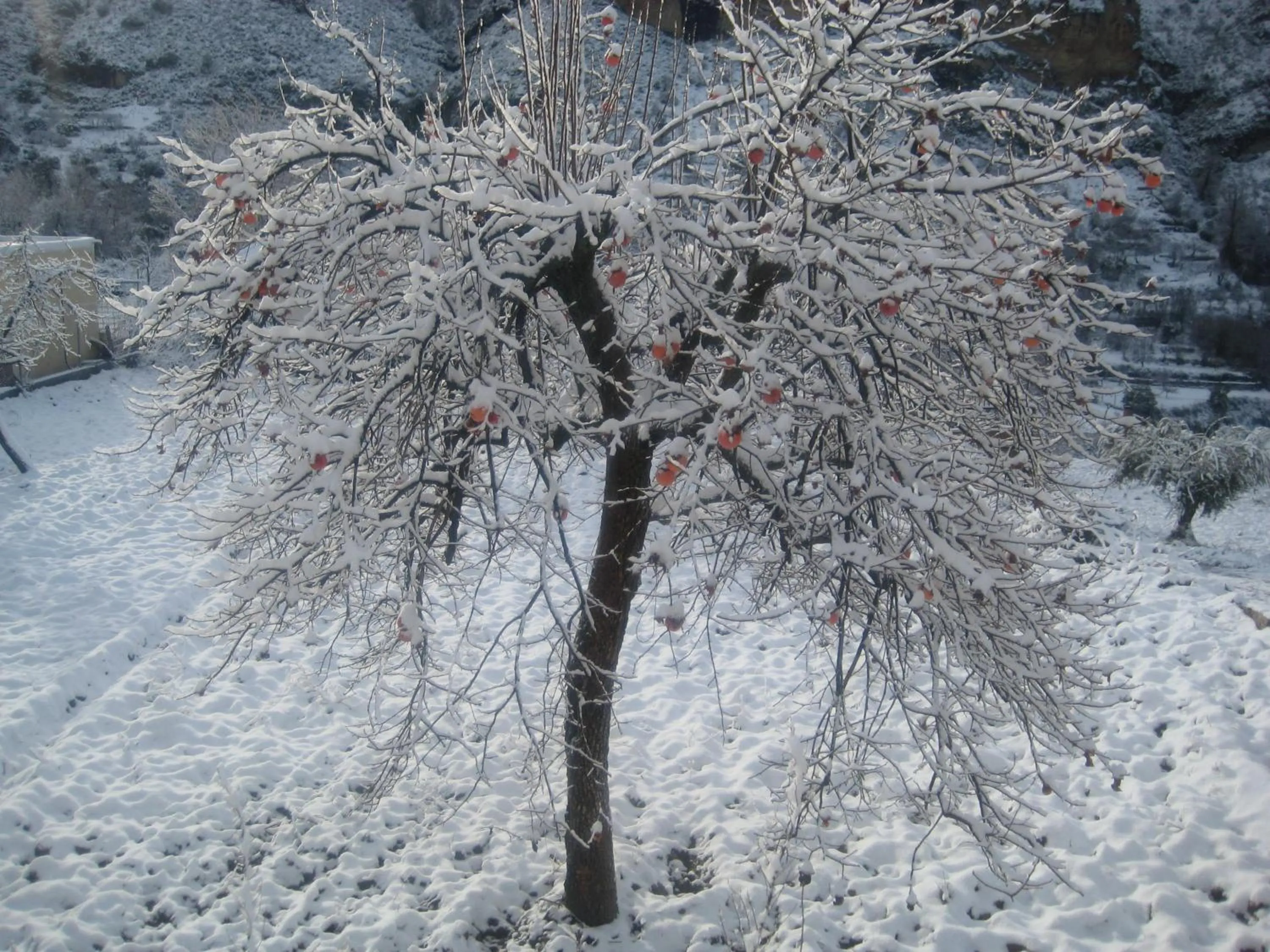 Mountain view in Quéntar Hotel Rural