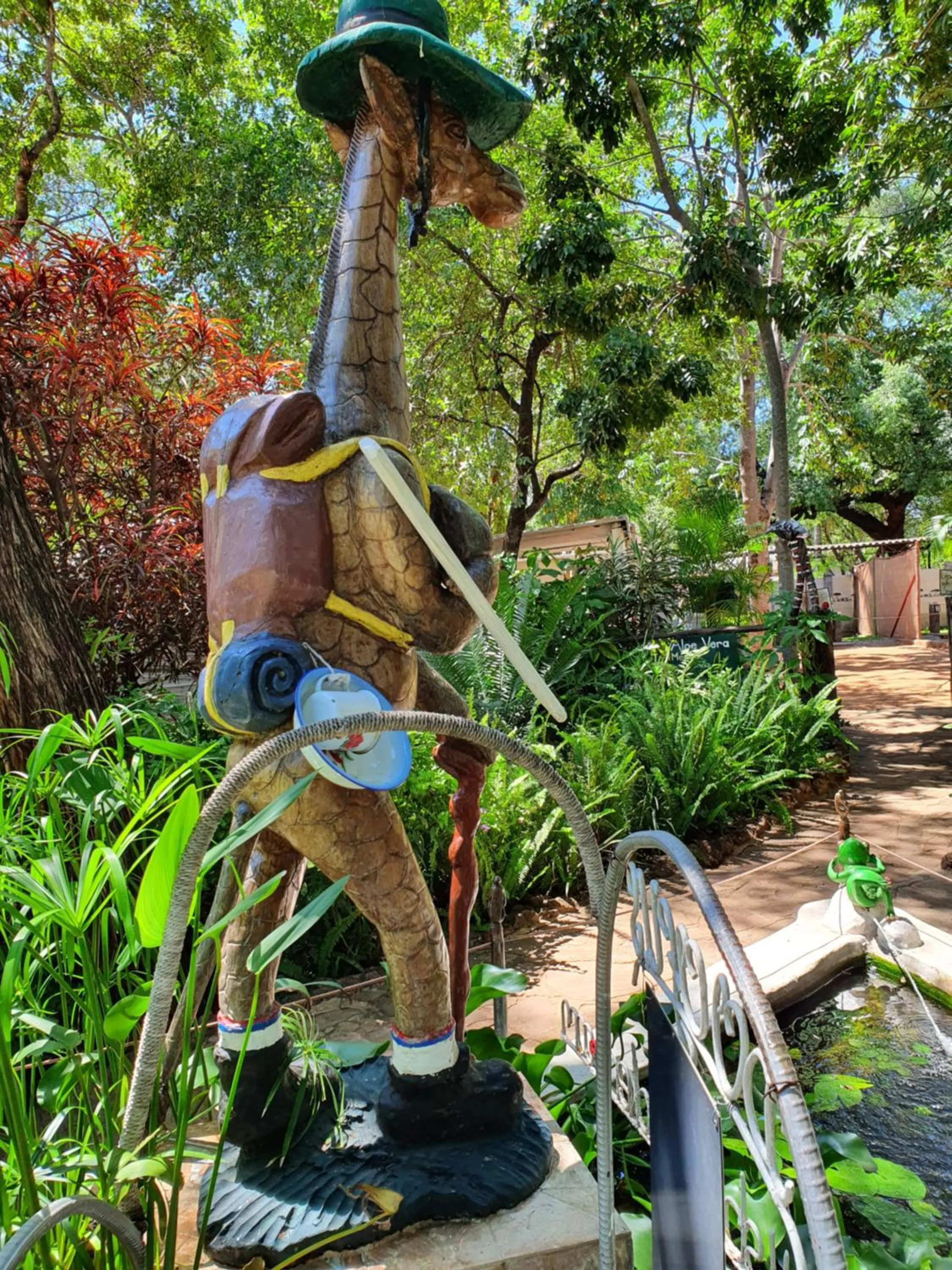 Property building in Victoria Falls Backpackers Lodge