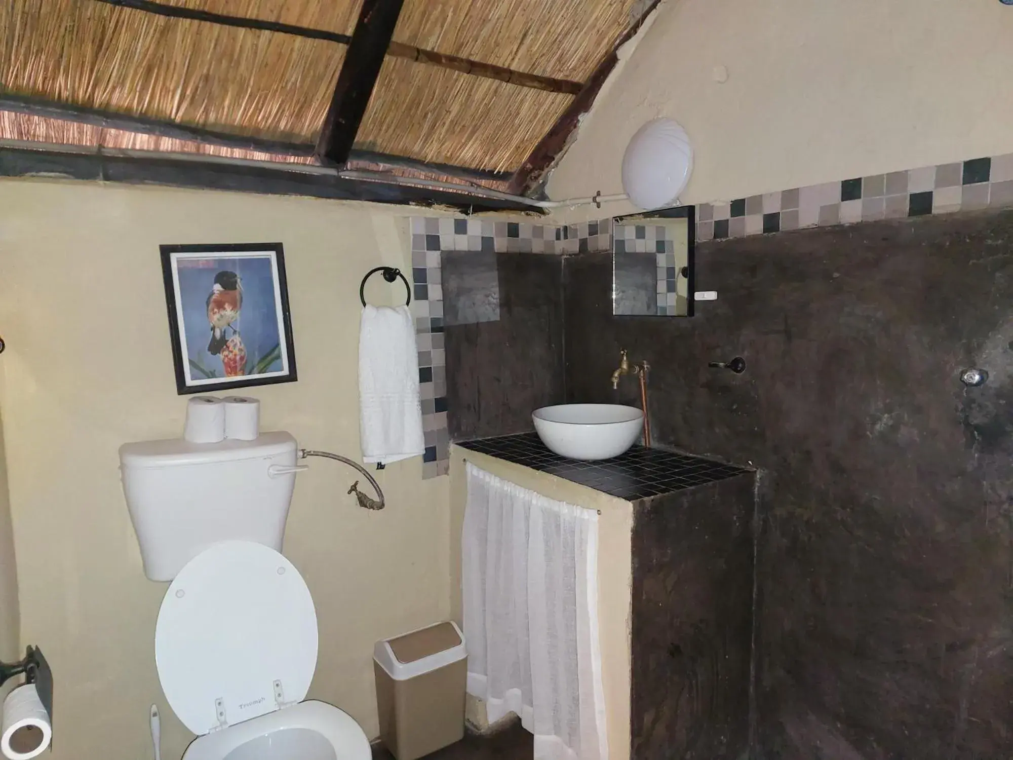 Double Room with Private Bathroom in Victoria Falls Backpackers Lodge Double Room with Private Bathroom in Victoria Falls Backpackers Lodge