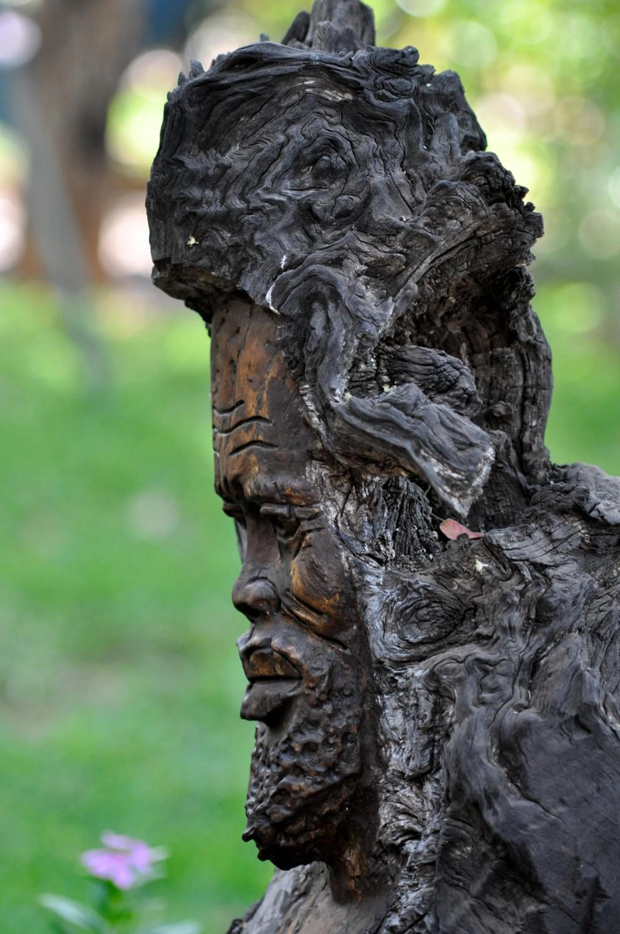 Activities in Victoria Falls Backpackers Lodge