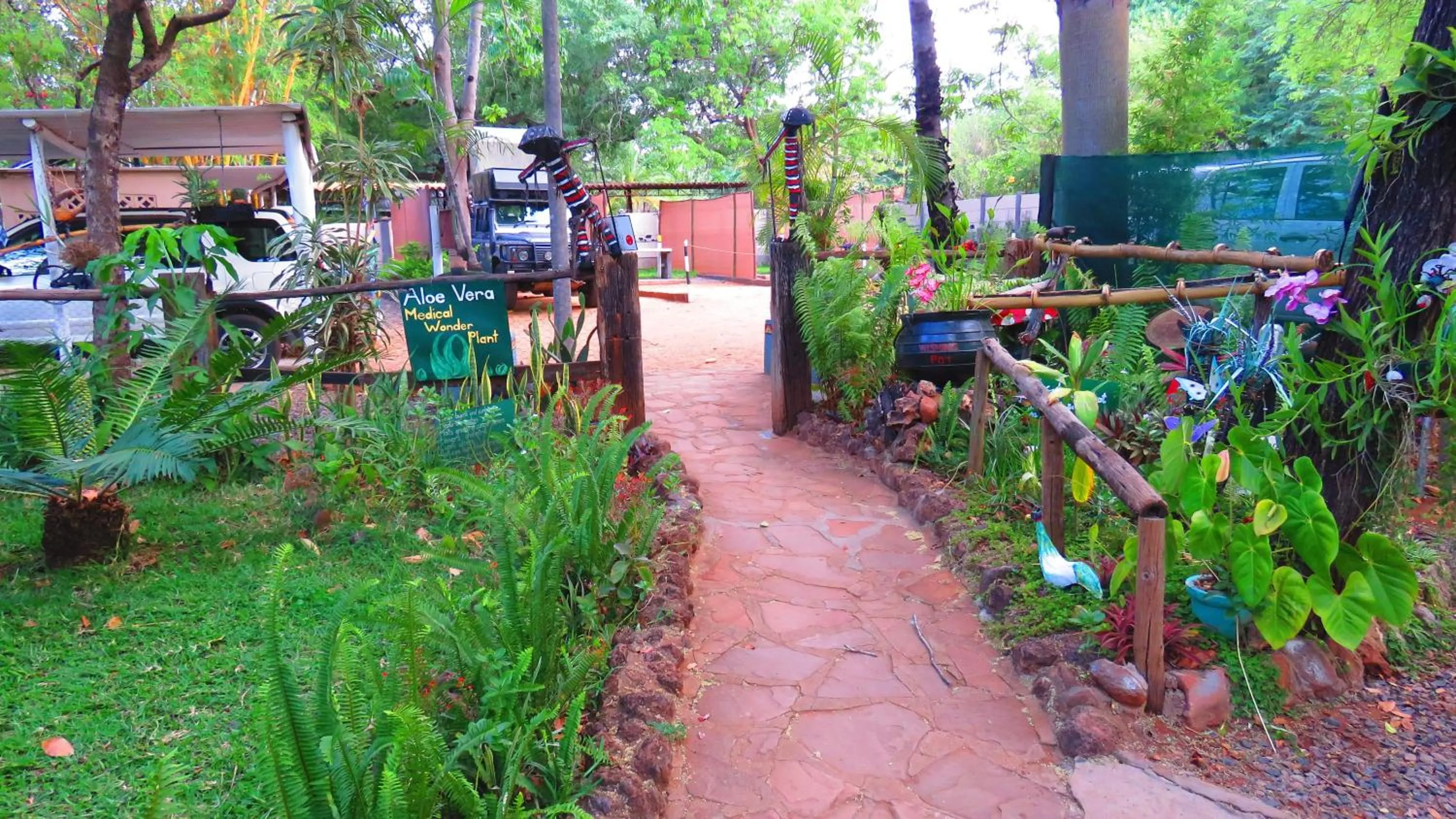 Garden in Victoria Falls Backpackers Lodge