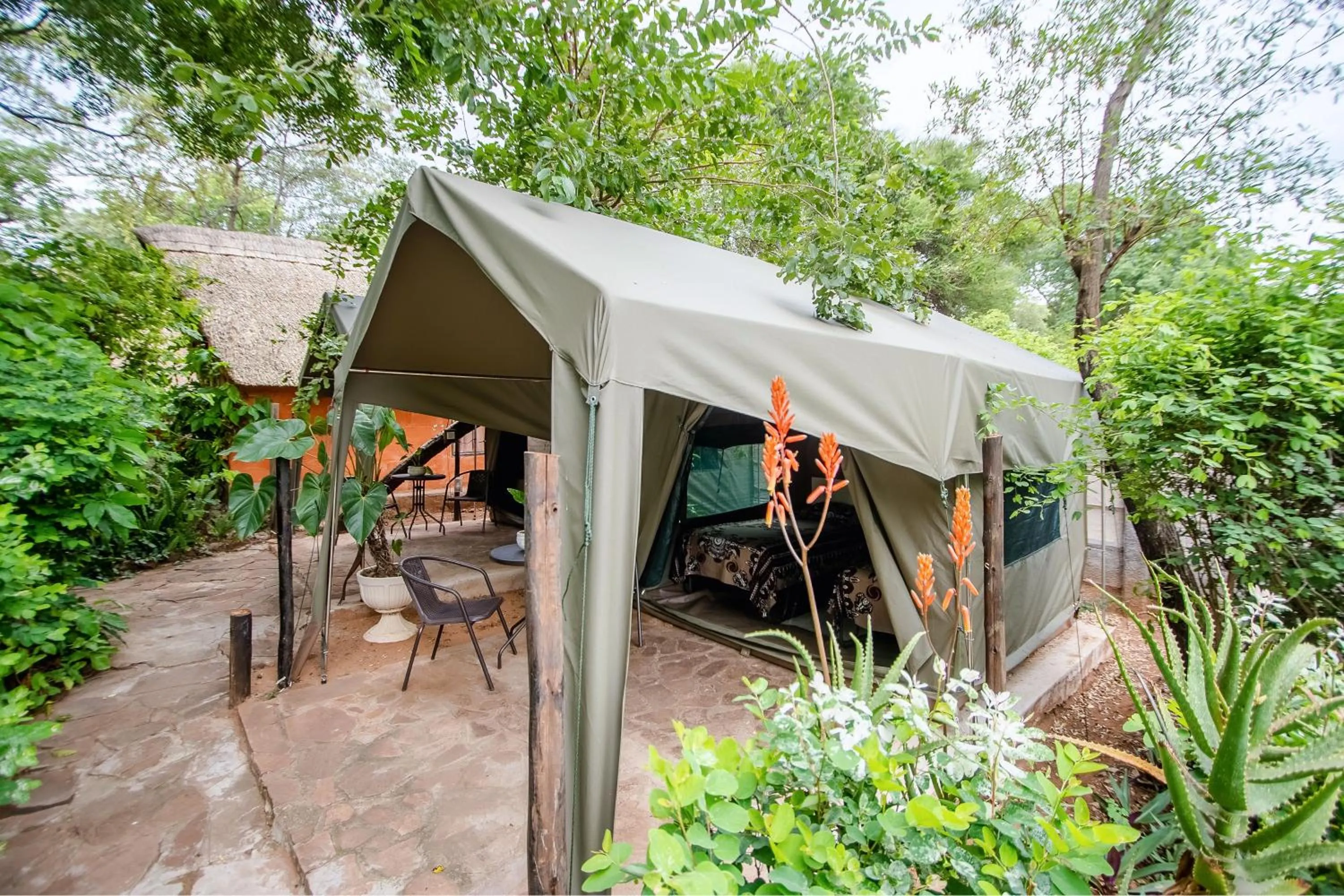 Garden in Victoria Falls Backpackers Lodge