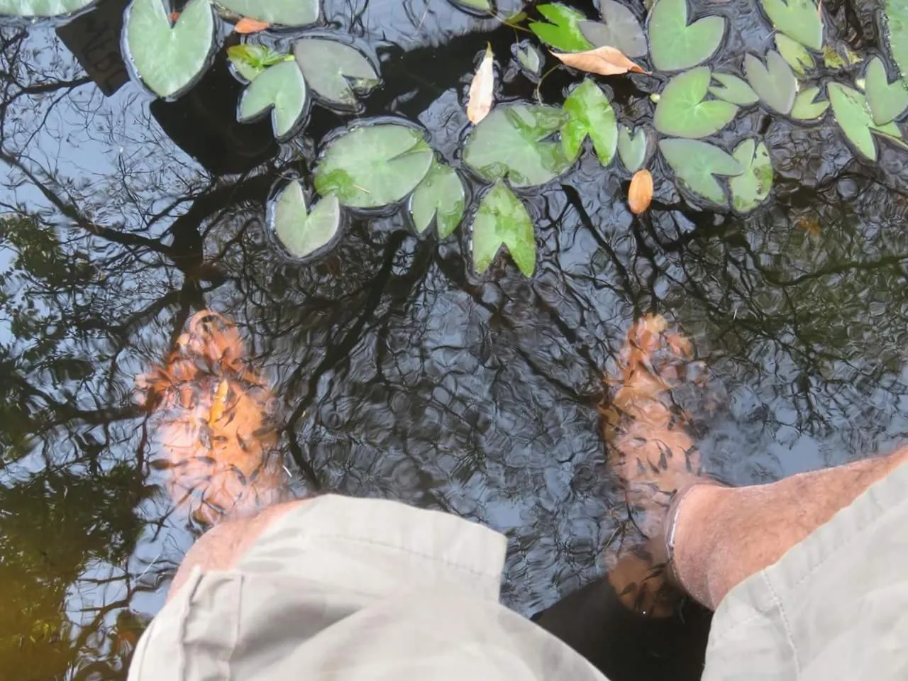 Spa and wellness centre/facilities in Victoria Falls Backpackers Lodge